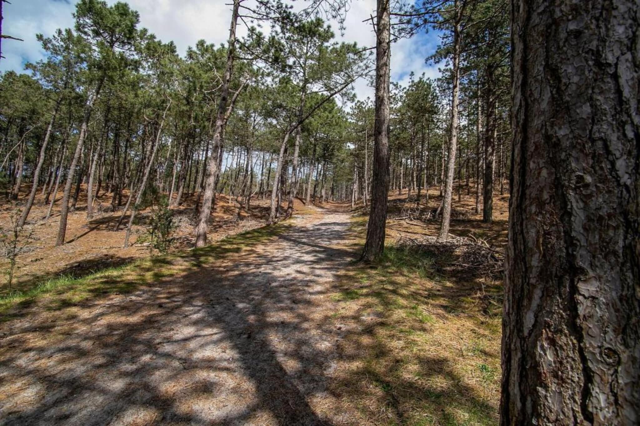 Villa Jean-Zones d'été à 20 km