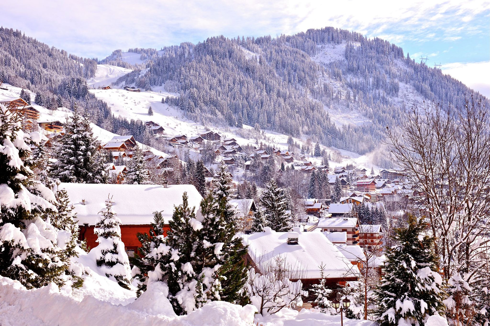 Apartment located 450 m from the lovely village of Châtel