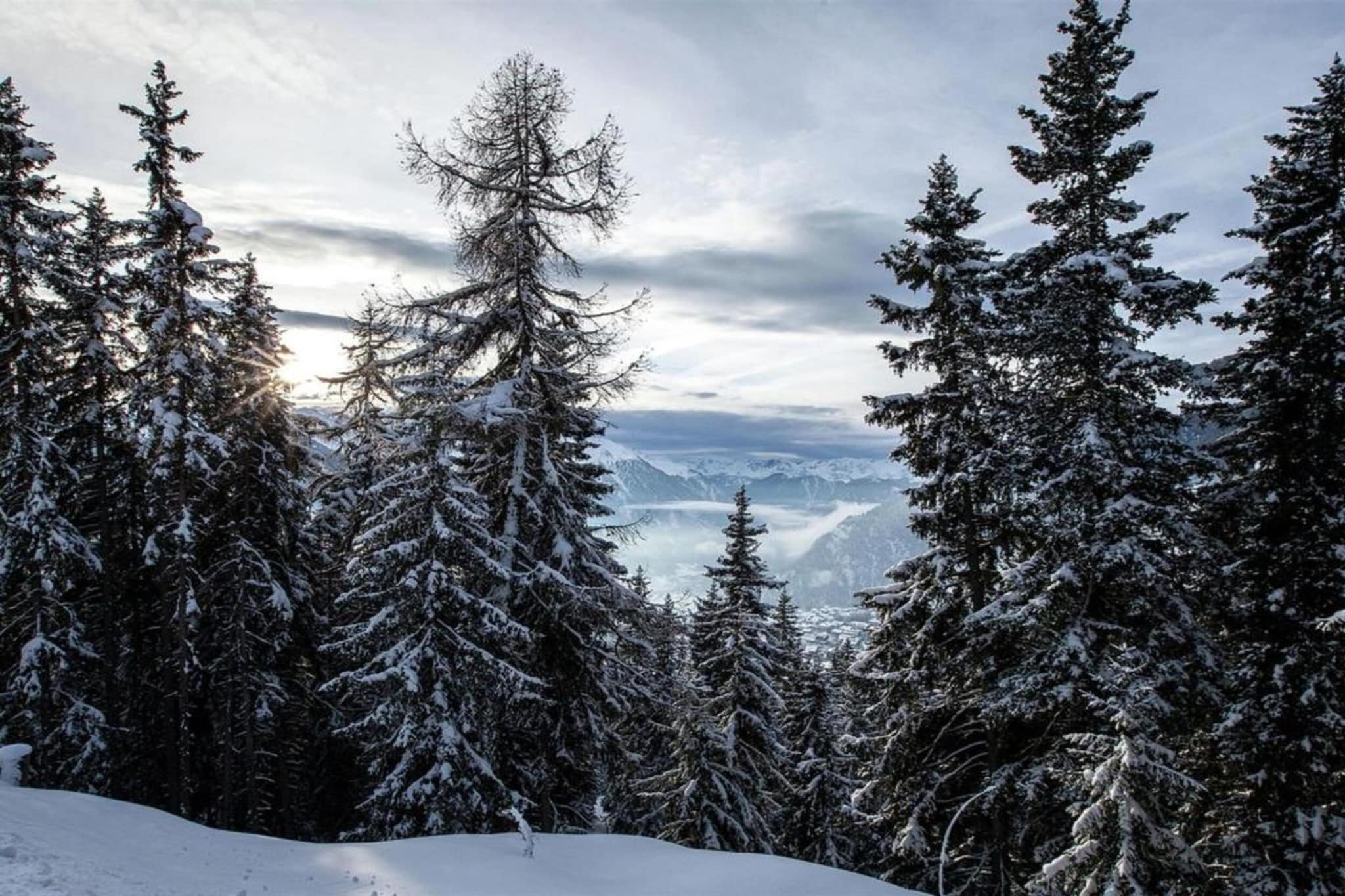 Chalet Panaga-Gebiet Winter 20 km