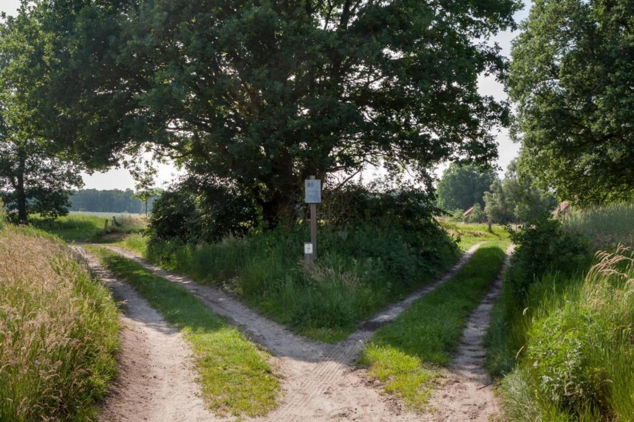 Chaletpark Kuiperberg 4-Gebieden zomer 5km