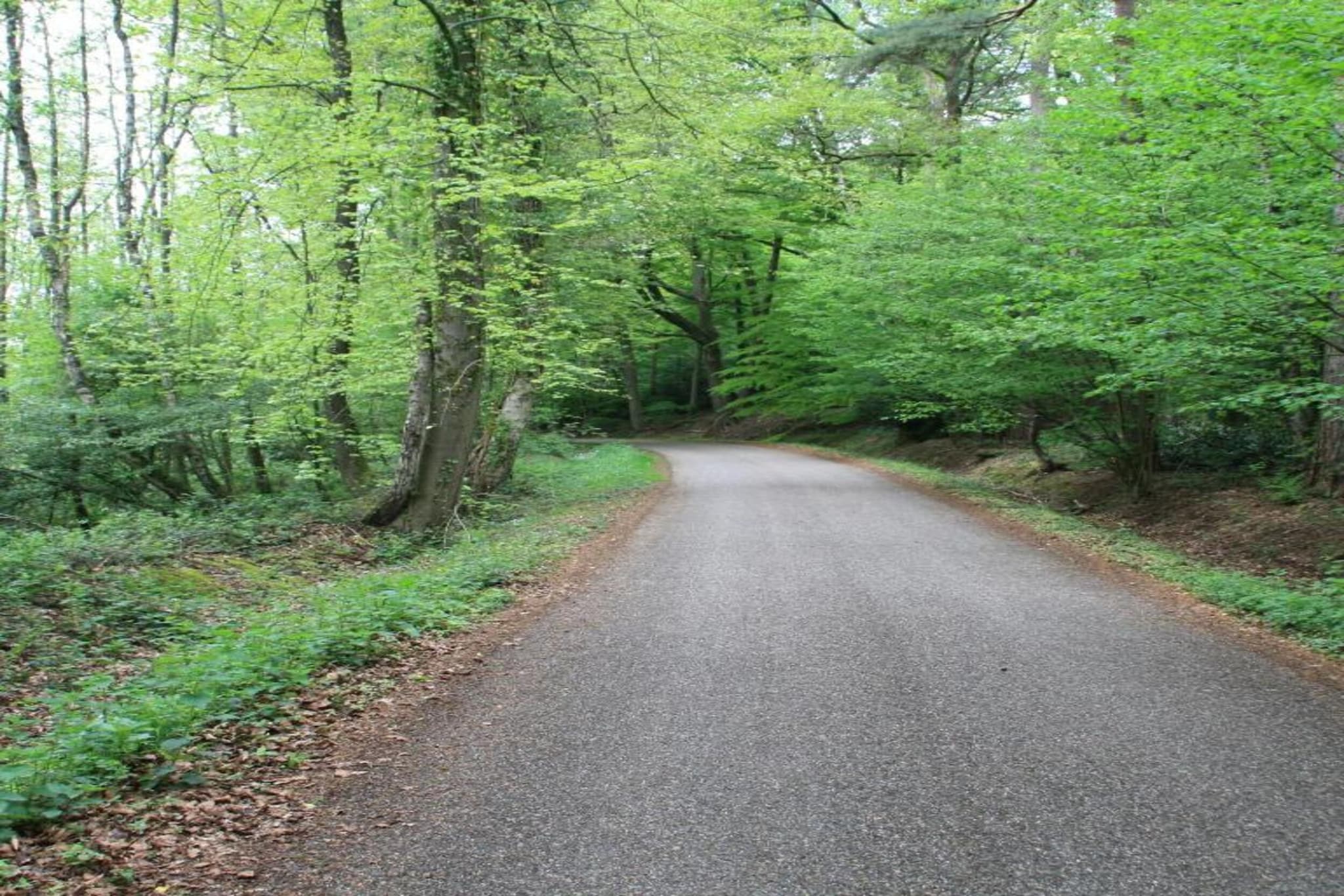 Chaletpark Kuiperberg 4-Gebieden zomer 5km