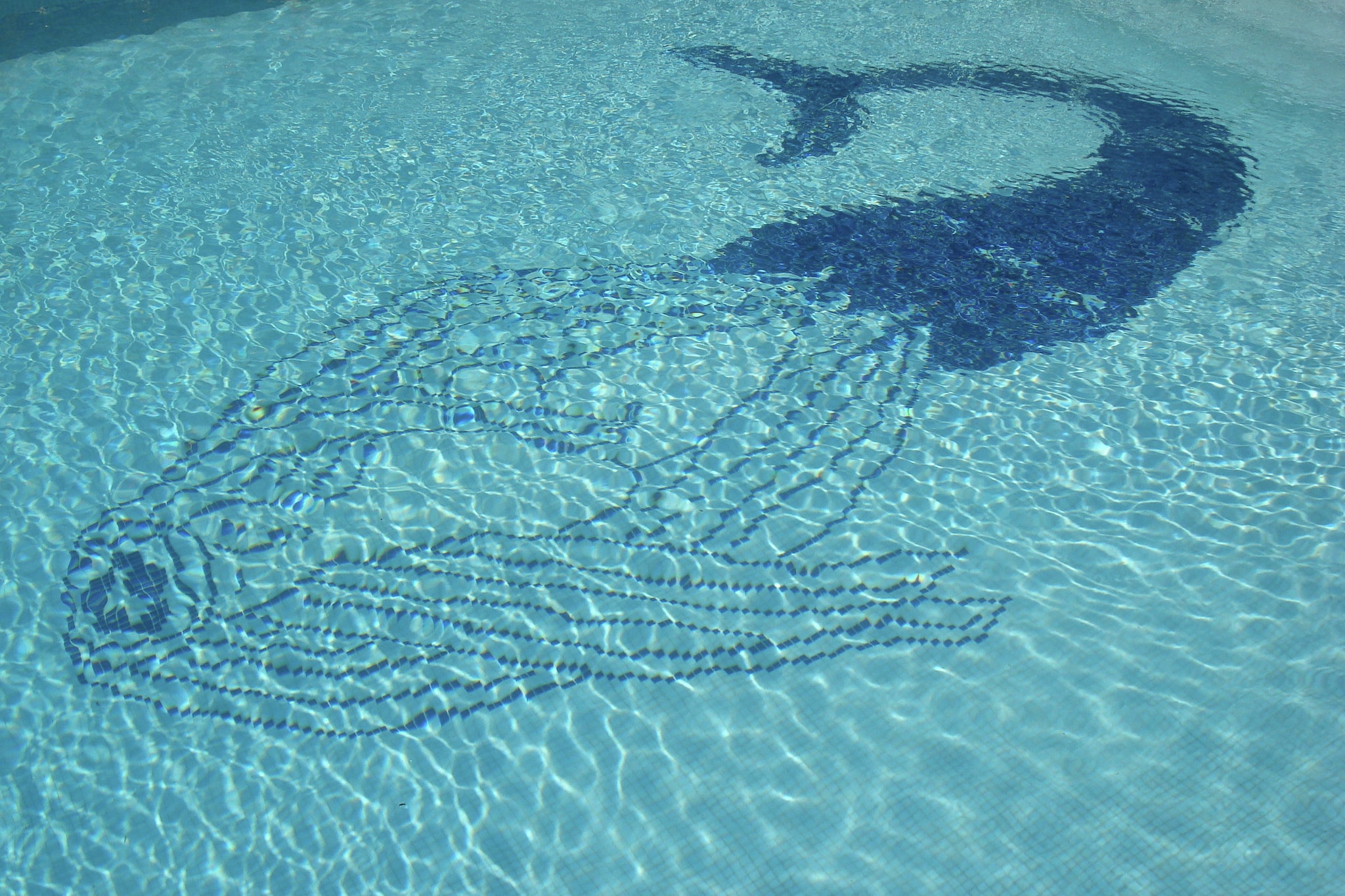 Provence-Côte d'Azur