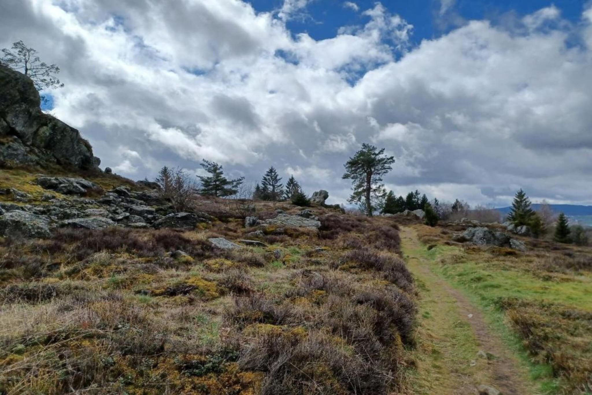Eslarn-Gebieden zomer 20km