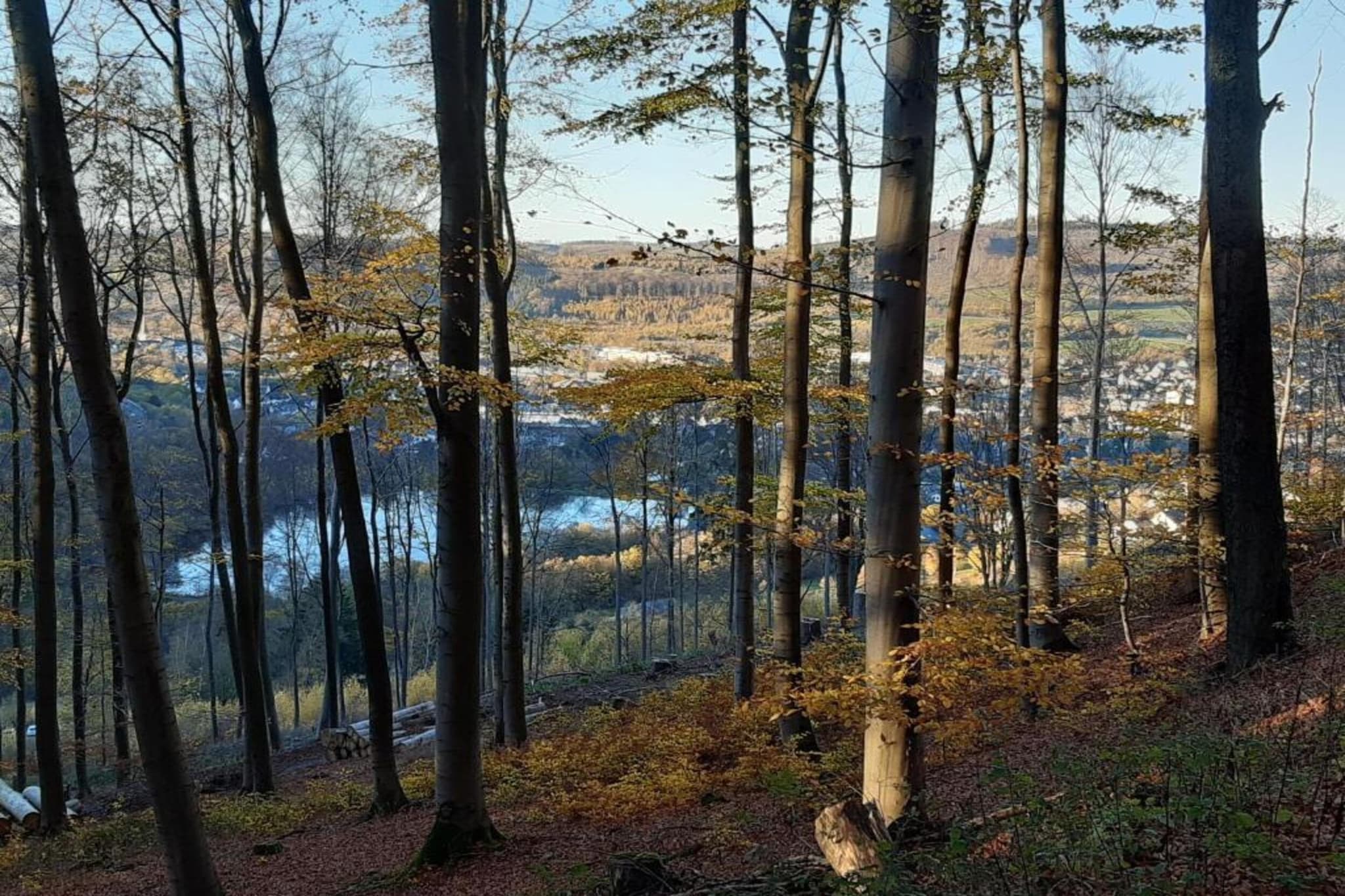 Im Ries III-Zones d'été à 5 km