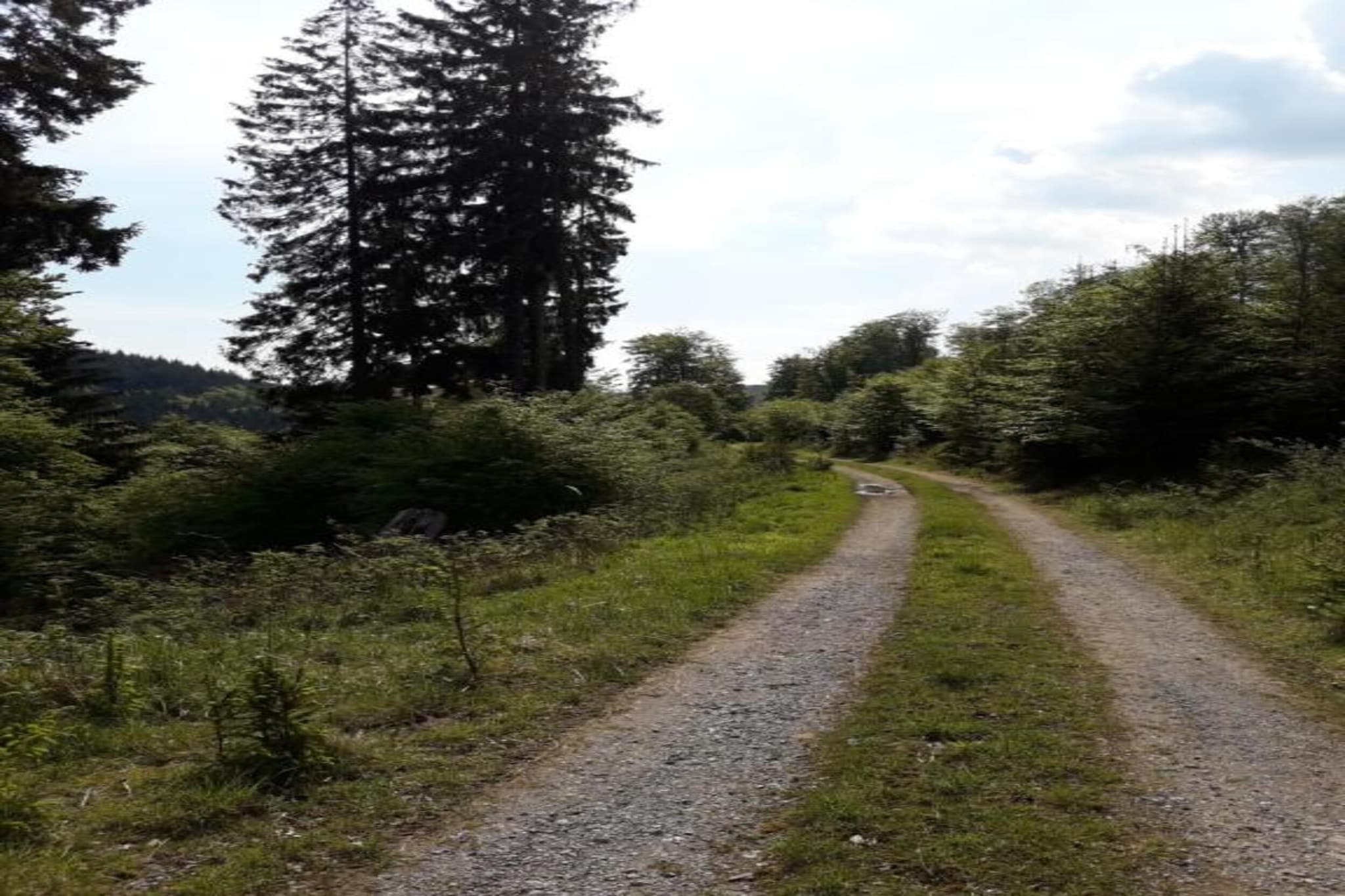 Im Ries III-Zones d'été à 5 km