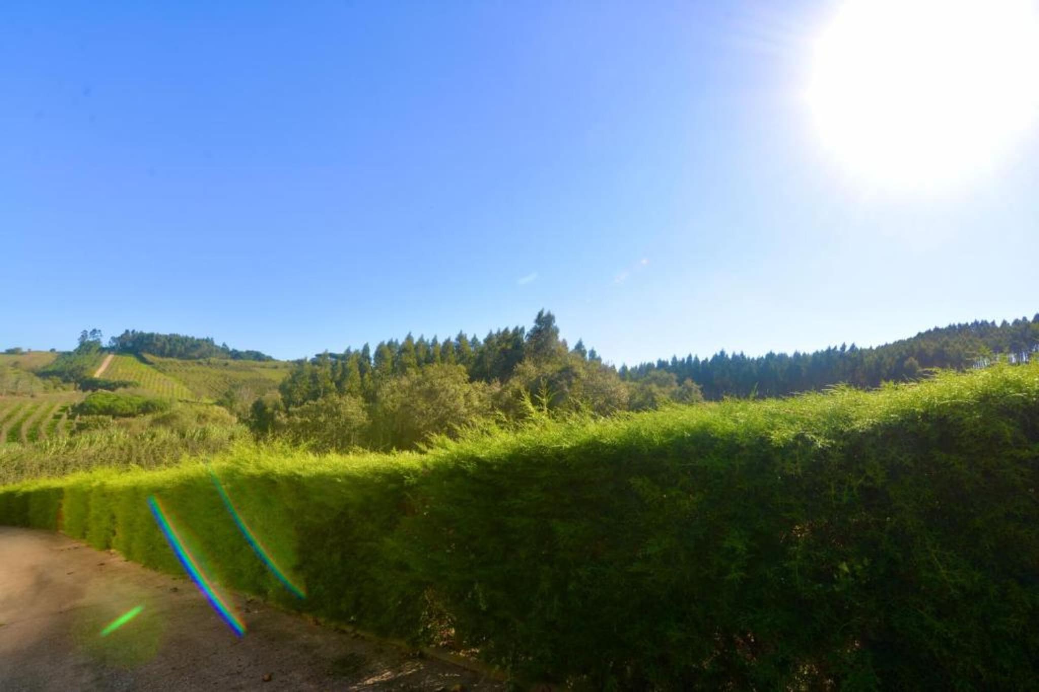 Casa do Coqueiro-Gebieden zomer 5km