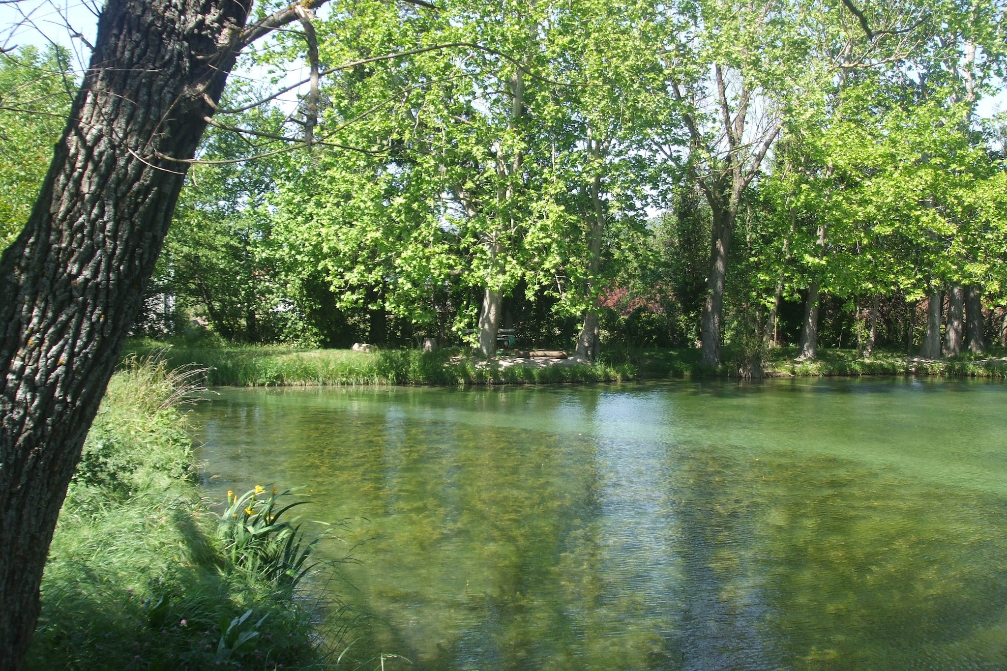 Villa met klimaat en privé zwembad-Gebieden zomer 5km