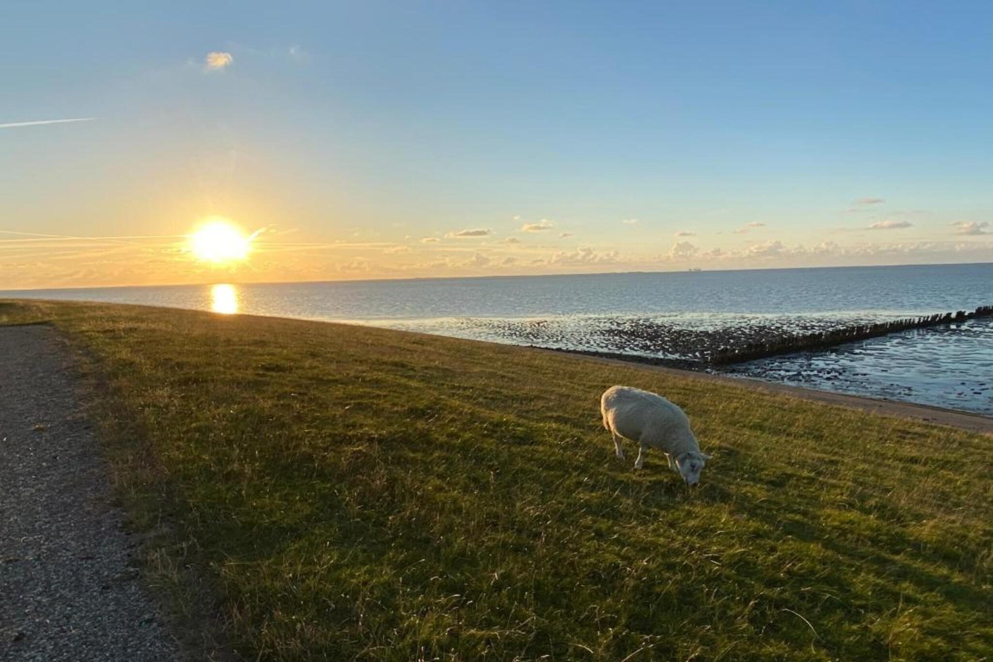 Luna-Gebieden zomer 20km
