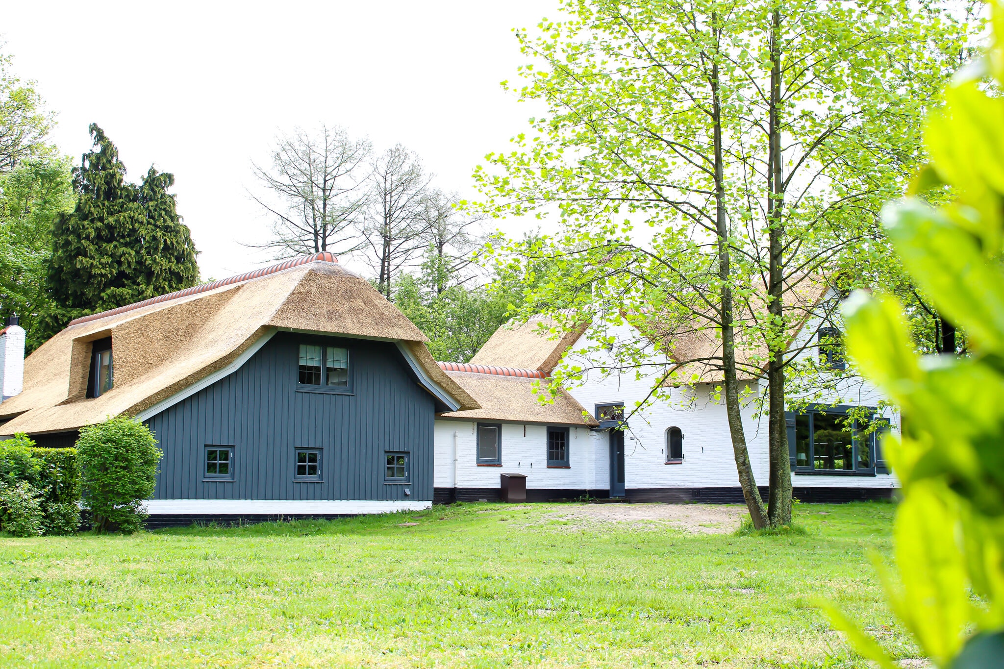 Villa in de Veluwe in de prachtige natuur