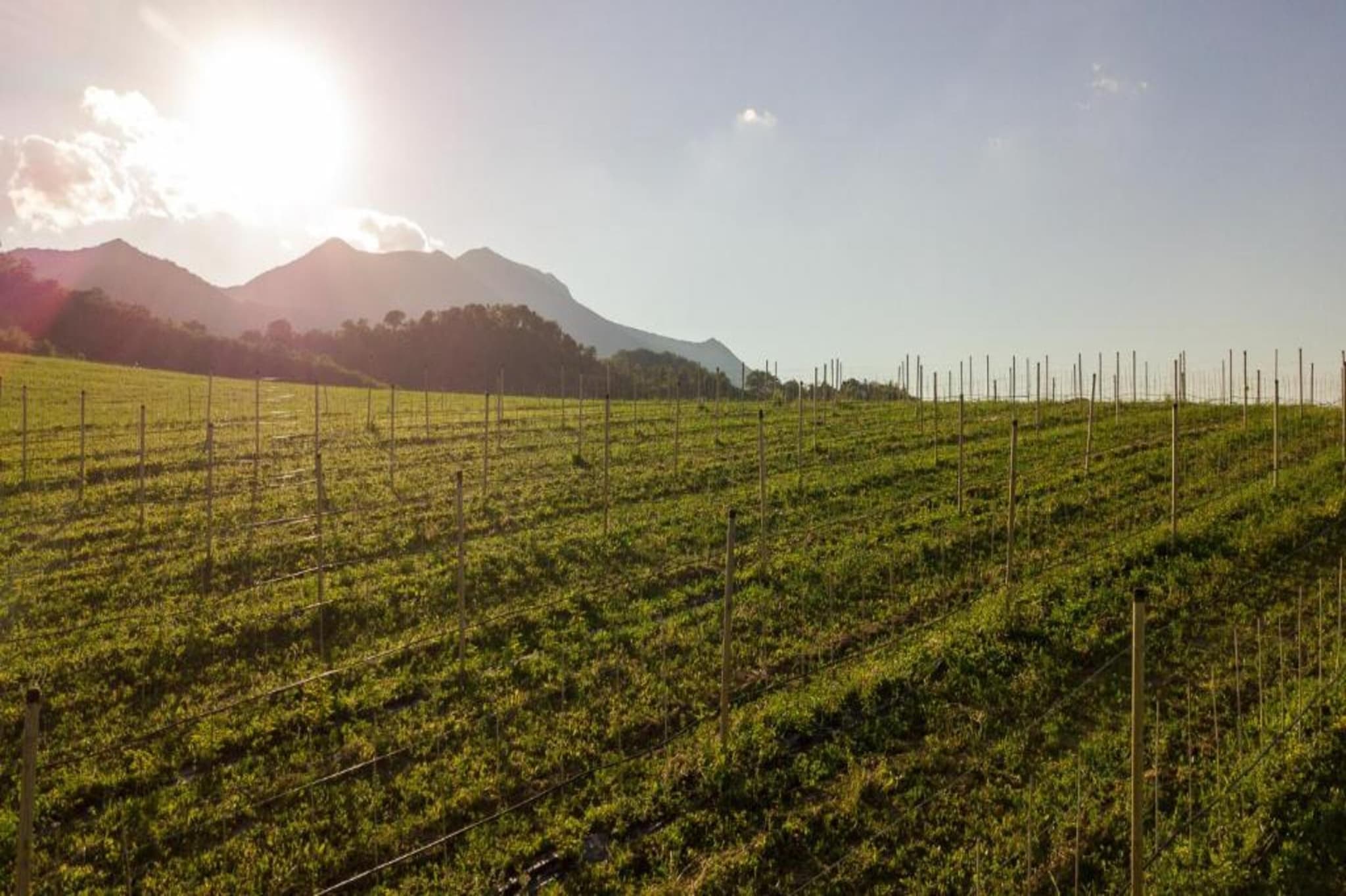 Borgo Quattro-Gebieden zomer 20km