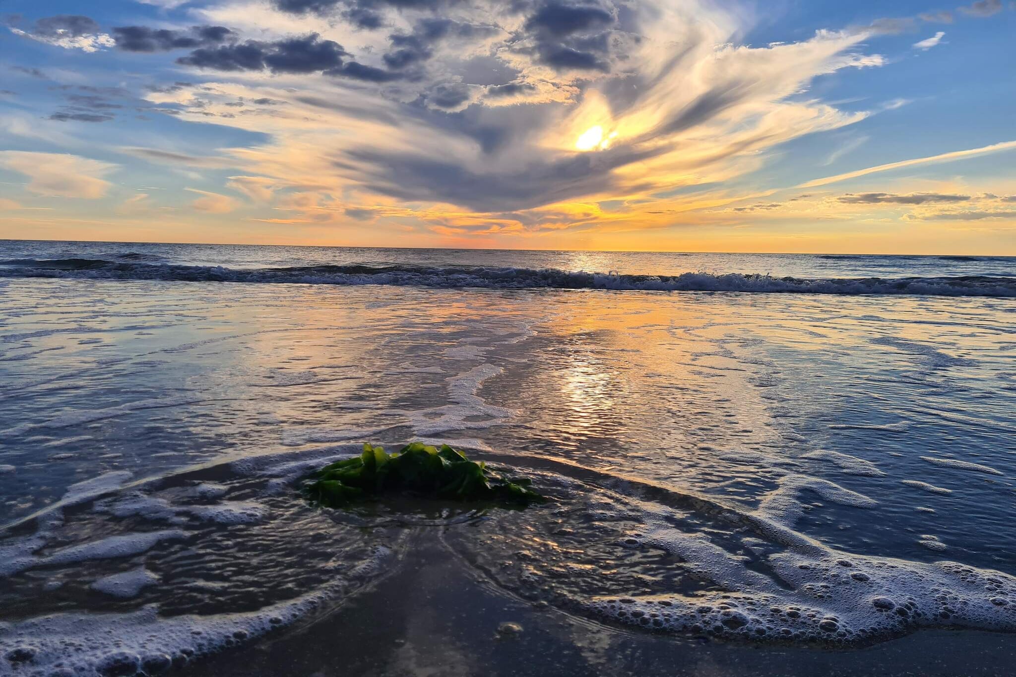 Luxe retraite met zwembad -- By Traum Ferienwohnungen-Waterzicht