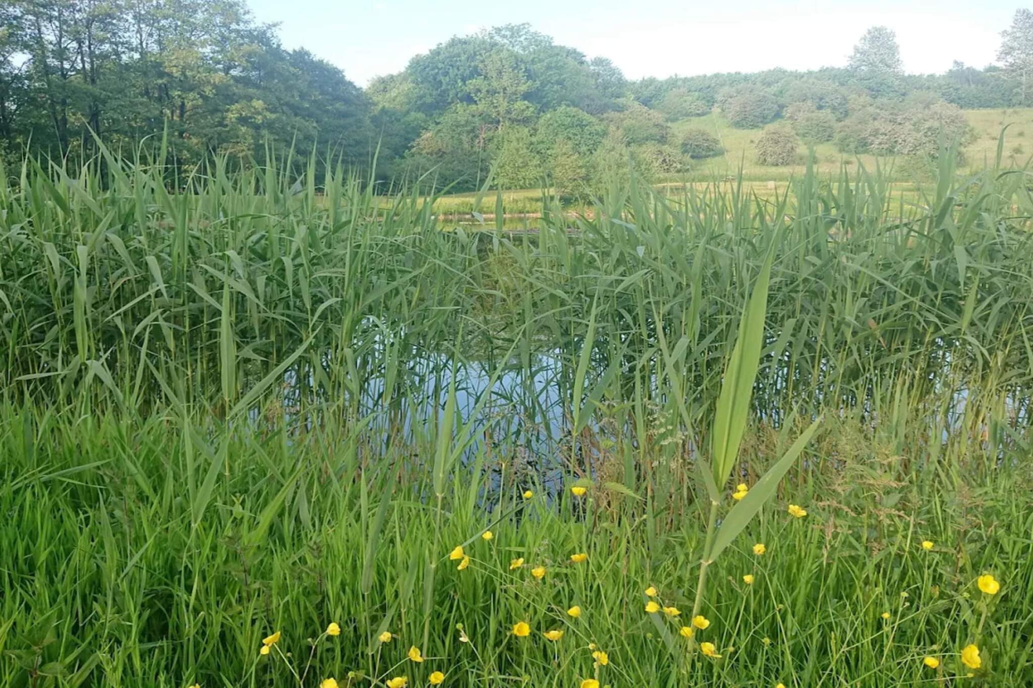 Luxury Retreat by Asbolholm - By Traum Ferienwohnungen