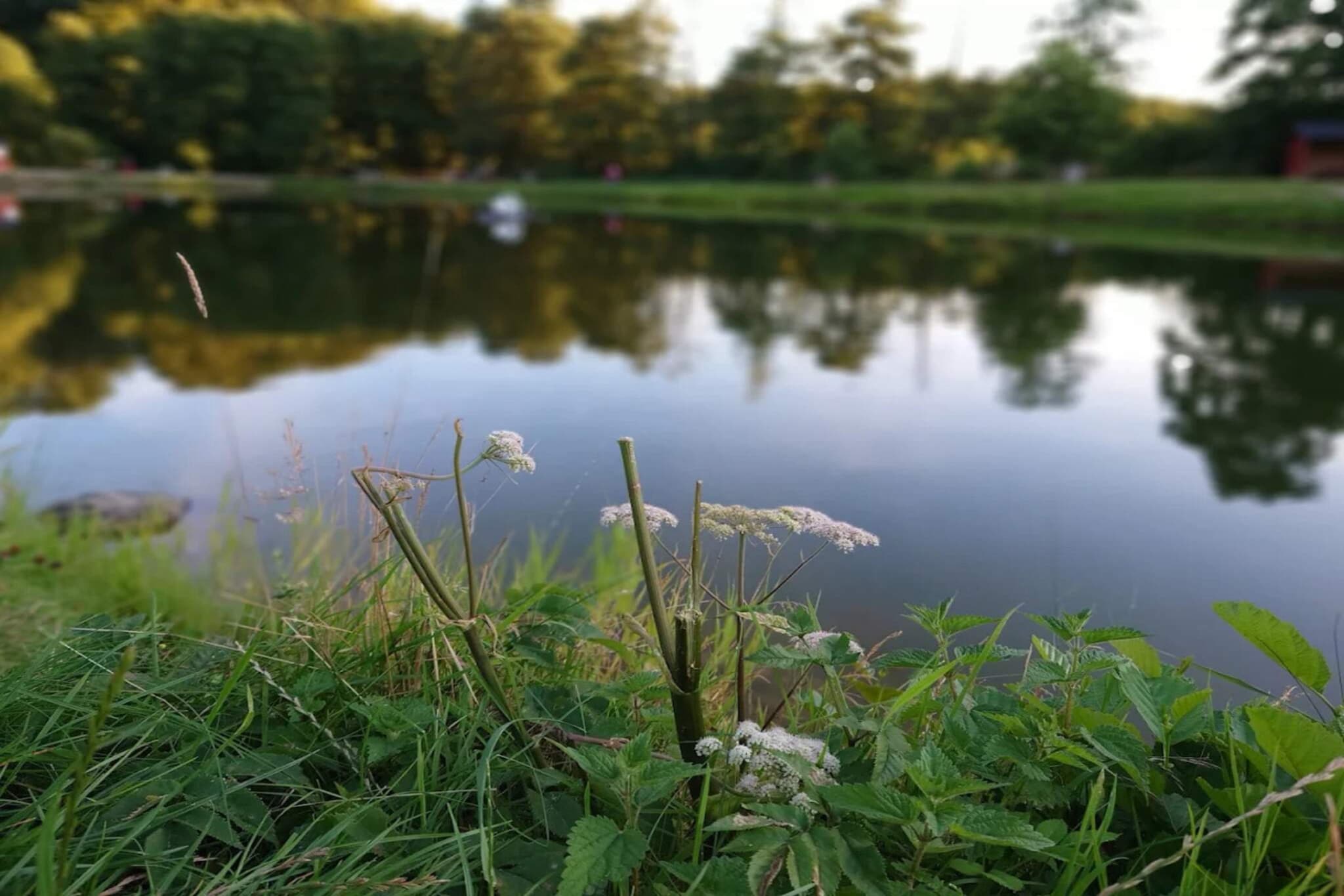 Luxury Retreat by Asbolholm - By Traum Ferienwohnungen-Water view