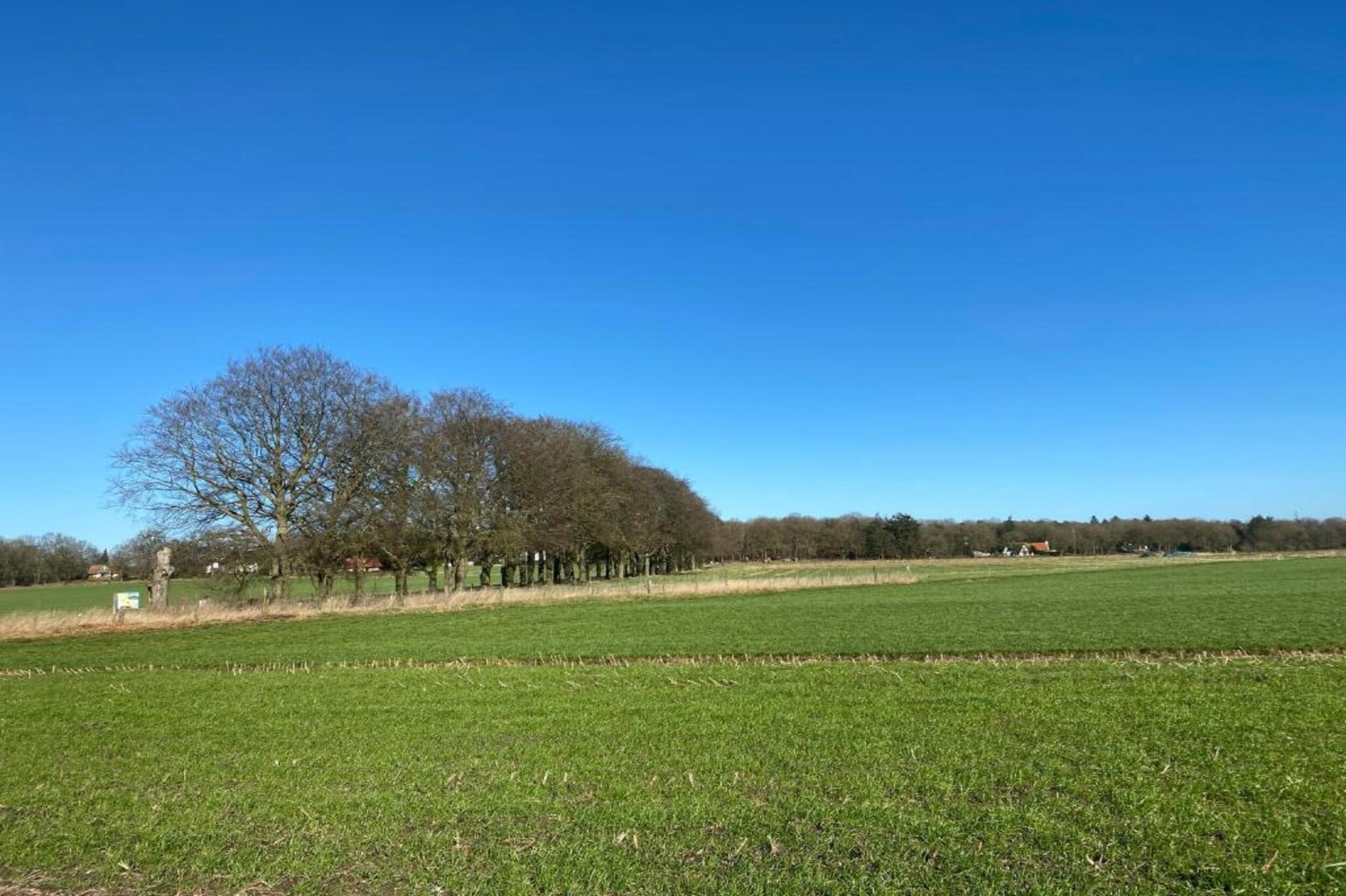 Buitenplaats Holten 1-Areas summer 5km