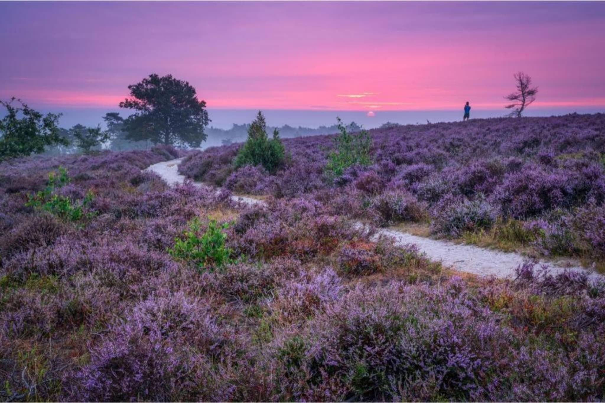 Buitenplaats Holten 1-Areas summer 5km