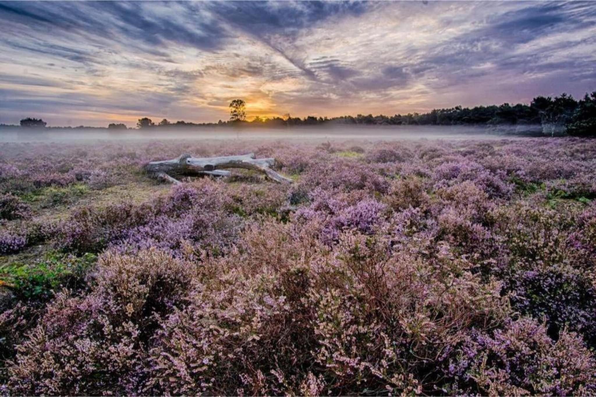 Buitenplaats Holten 1-Areas summer 5km