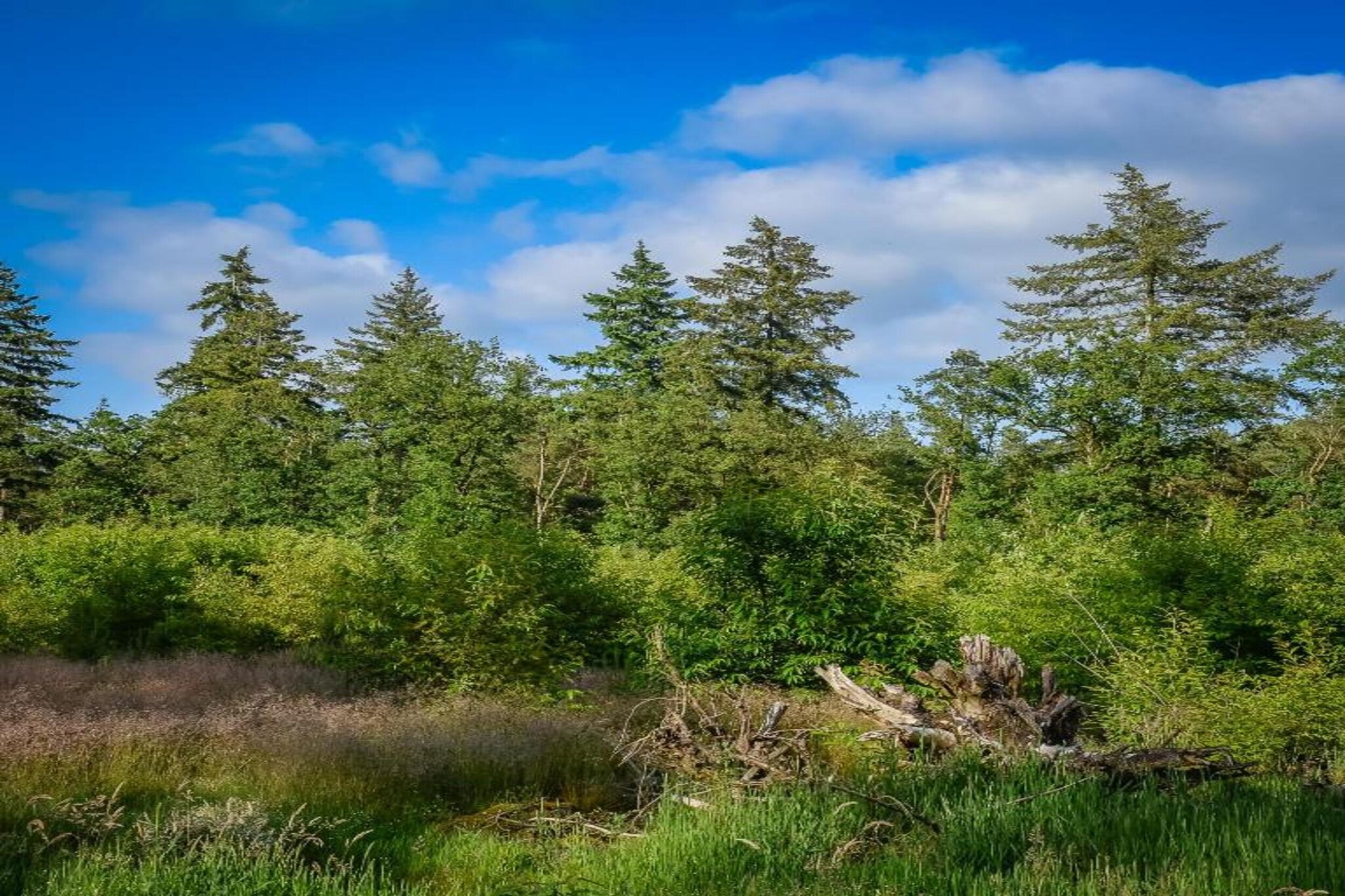 Buitenplaats Holten 1-Areas summer 5km