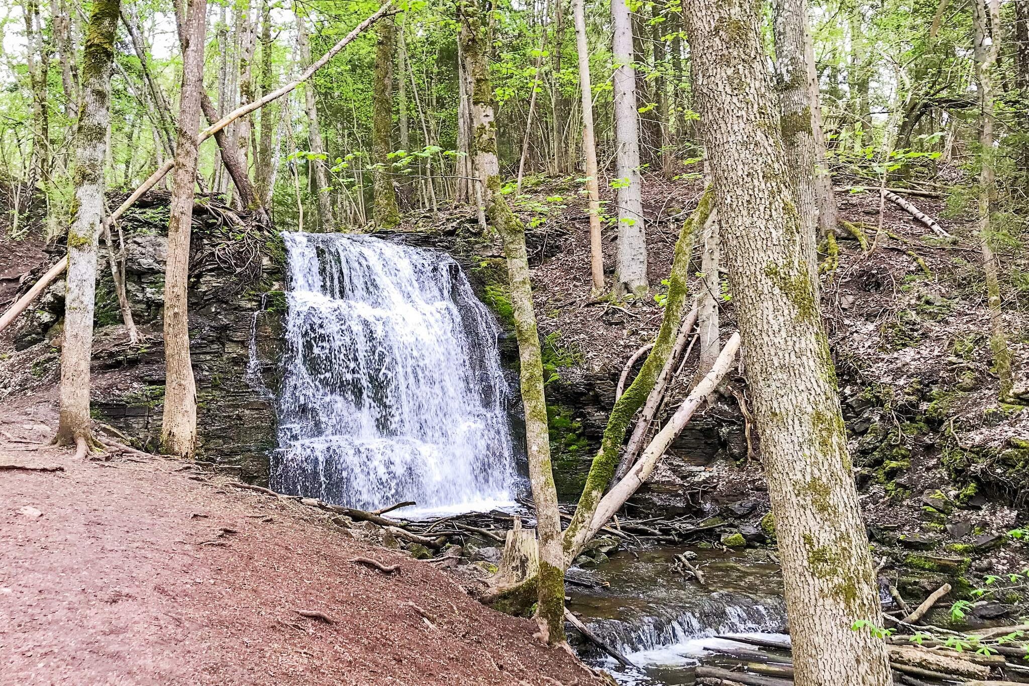 Welcome to a holiday home located only 50 metres from beautiful lake LÃ¥ngen in Lerdala. Down by the dock you will find the boat that is included in the rent. There are good fishing possibilities here. Don't forget to buy a fishing license! The cottage is homelike and practical. The cosy living room features a fireplace and a TV. There's a double bed in the master bedroom and two single beds in the other bedroom. The cottage also features a kitchenette, a terrace, and a bathroom with aWC, washbasin, and a shower. In the annex you will find a sauna. The area around Melldala offers scenic nature, perfect for long walks. If you want to make a day trip then Skara Sommarland is not far away, this is a place that children adore, an enormous waterpark where they can play all day. Nature lovers will enjoy a visit to Kinnekulle, one of Sweden's largest wildlife areas with a very interesting flora and fauna. Please note: Household rubbish should be dumped in the communal rubbish container by the communal beach, 750 metres from the house. Firewood can be bought on site, more information about it is available in the cabin. Welcome to this lovely holiday home! Youth groups are not allowed to rent this house!