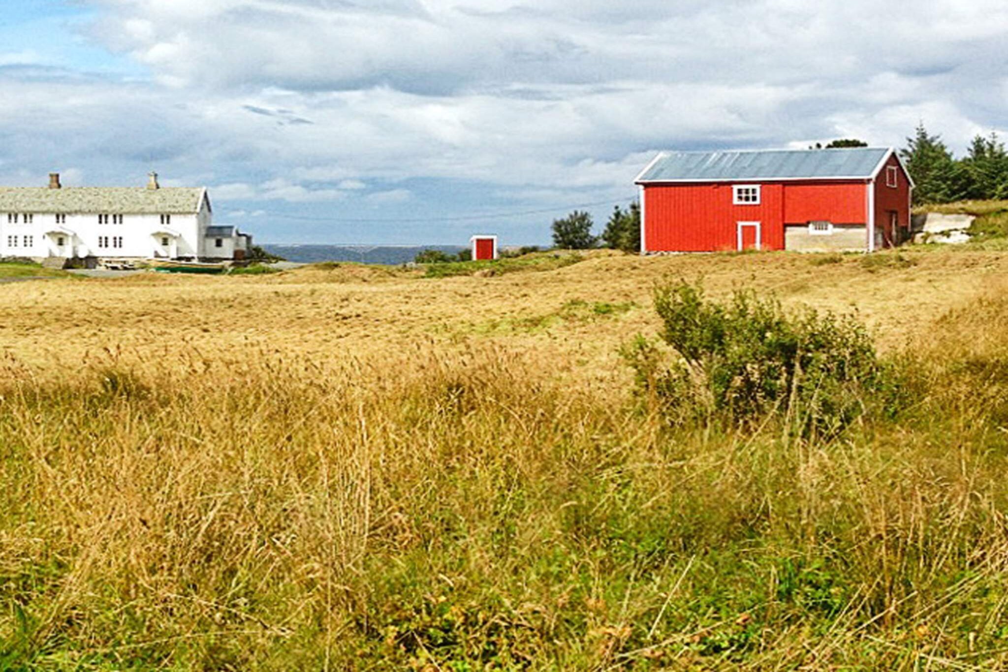 Internet Access DSL, Kitchen(cooker(electric), coffee machine(filter), waffle iron, microwave, dishwasher, fridge, freezer(> 250L), washing machine), Living/bed room(20 m2)(TV(satellite, german television channels, norvegian TV channels ), radio, CD player), bedroom(single bed, double bed), bedroom(single bed, double bed), bedroom(double bed), bedroom(single bed), bedroom(single bed), bedroom(single folding bed), bathroom(washbasin, shower, toilet), heating(electric), garden furniture, BBQ, fish cleaning table