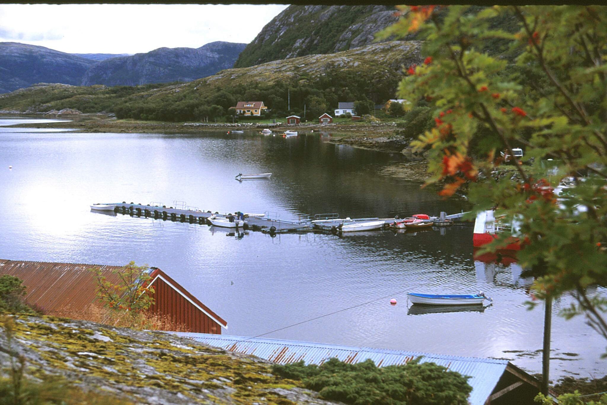 View