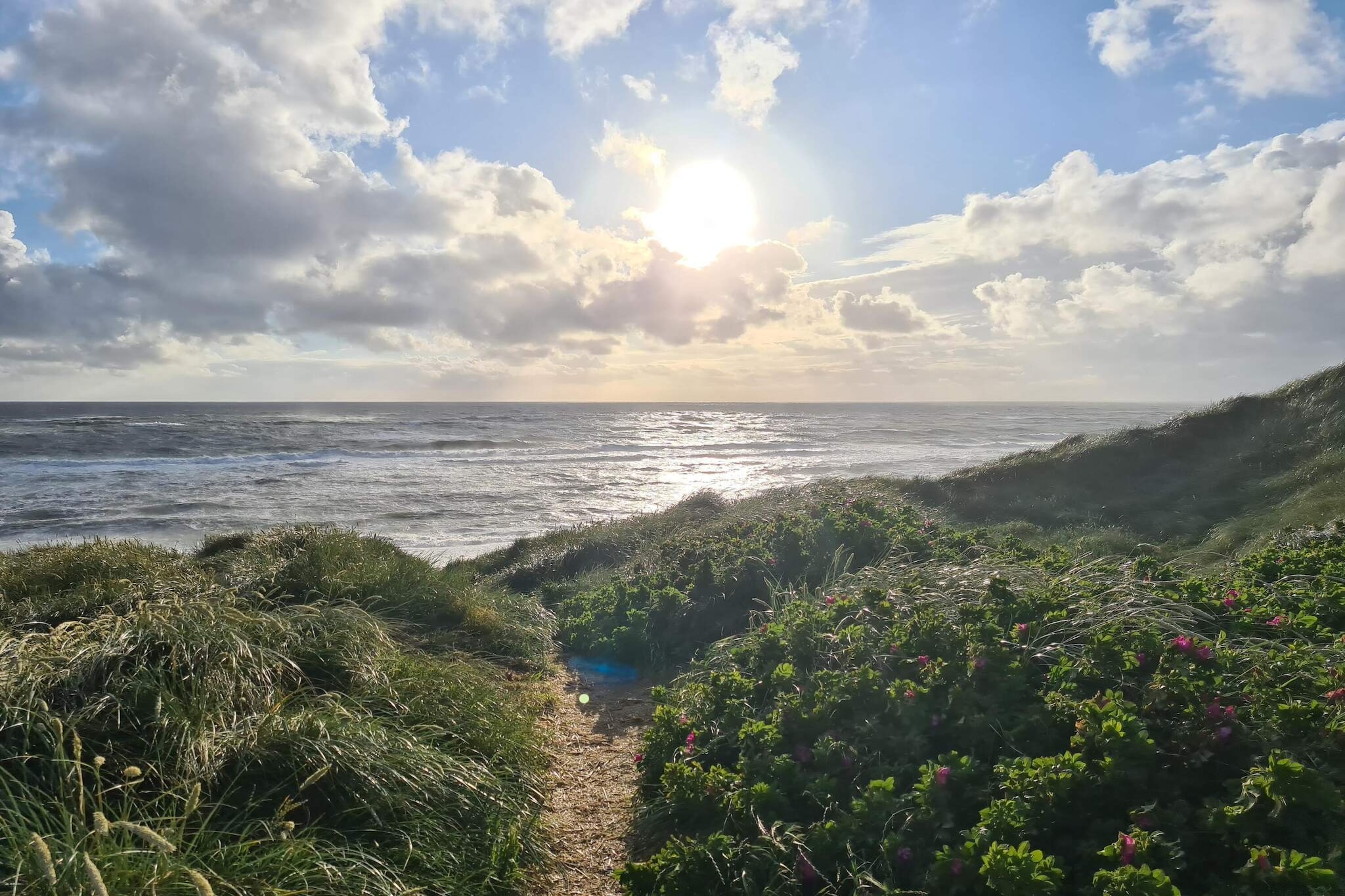 Internet Access DSL, open kitchen(cooker(electric), hood, coffee machine, microwave, fridge(+ freezer), high chair), Living/bed room(25 m2)(TV, radio), bedroom(double bed), bedroom(2x bunk bed, cot), bedroom(2x bunk bed), bathroom(bathtub or shower, washbasin, toilet), carport, terrace(roofed), garden, garden furniture, BBQ, deckchairs, geothermal energy, air to air heatpump