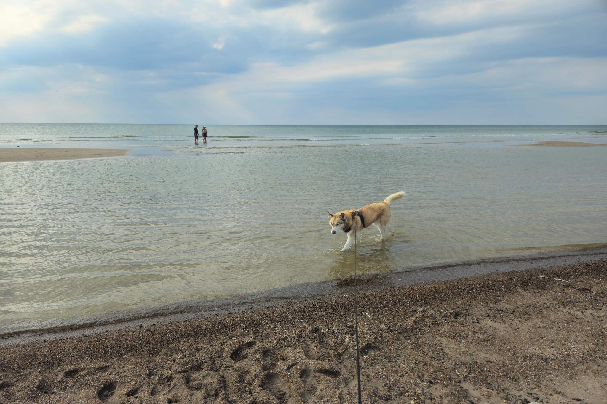 Luxury Spa Retreat by Sea - By Traum Ferienwohnungen-Water view