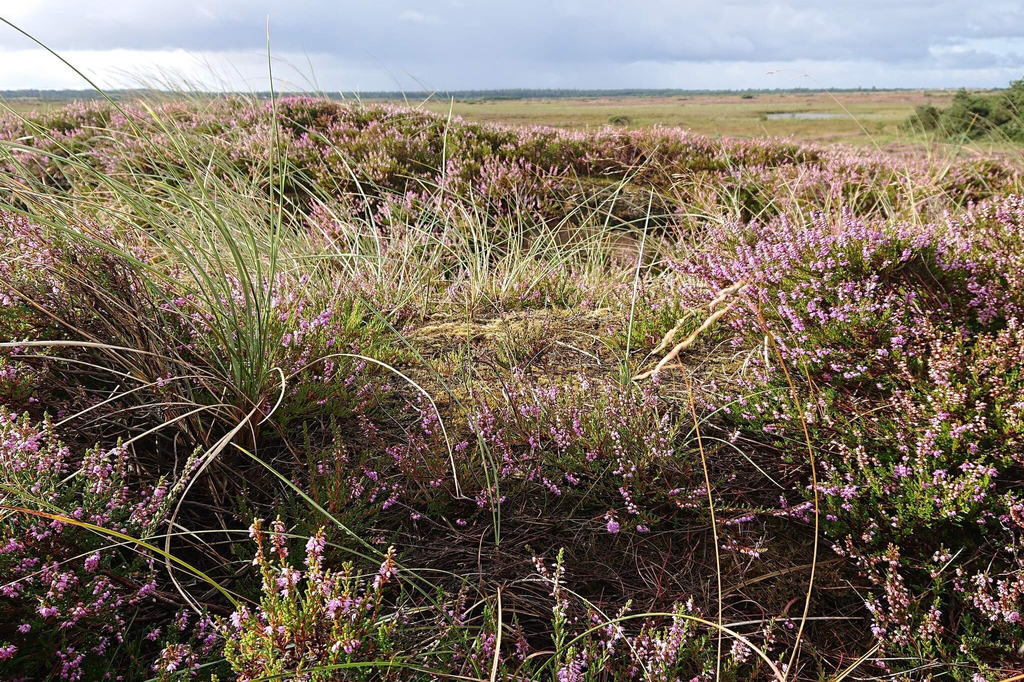 Afgelegen toevluchtsoord met uitzicht -- By Traum Ferienwohnungen-Niet-getagd