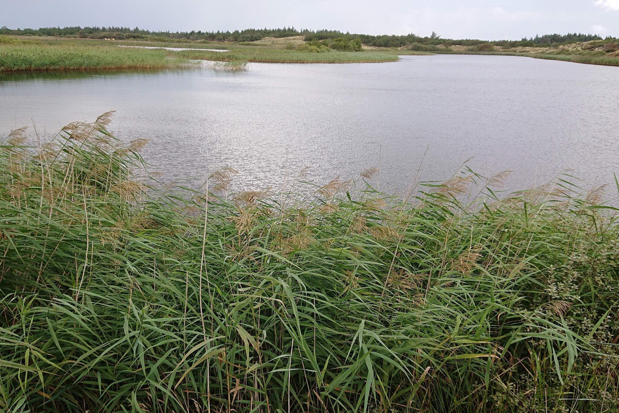 Afgelegen toevluchtsoord met uitzicht - Waterzicht