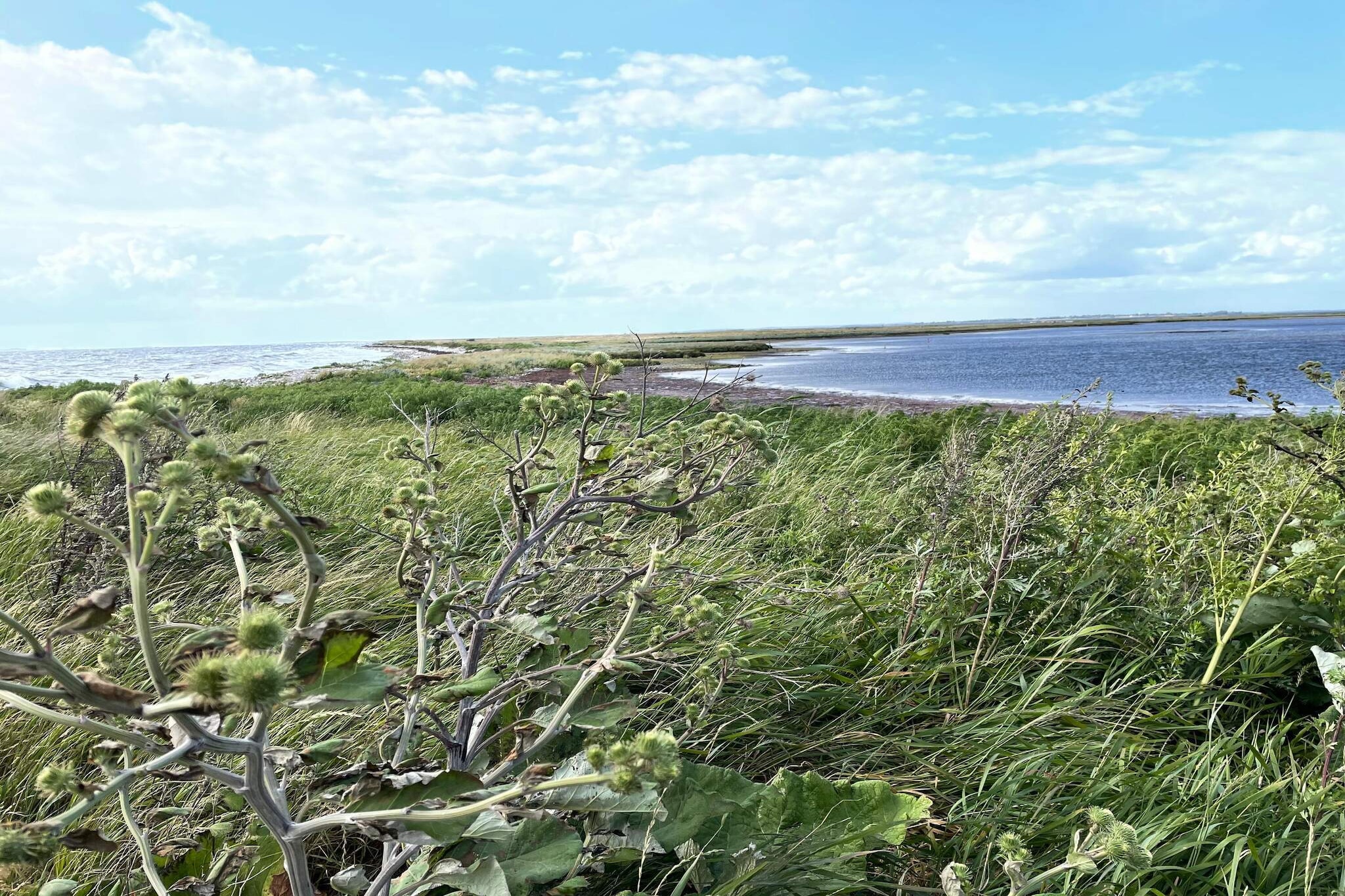 Water View
