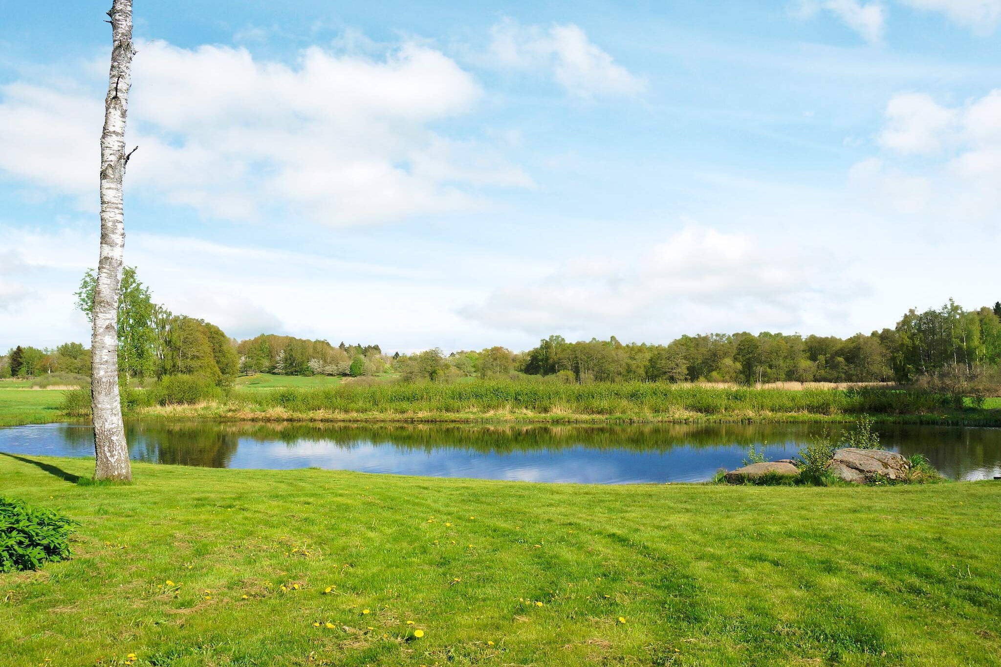 Water View