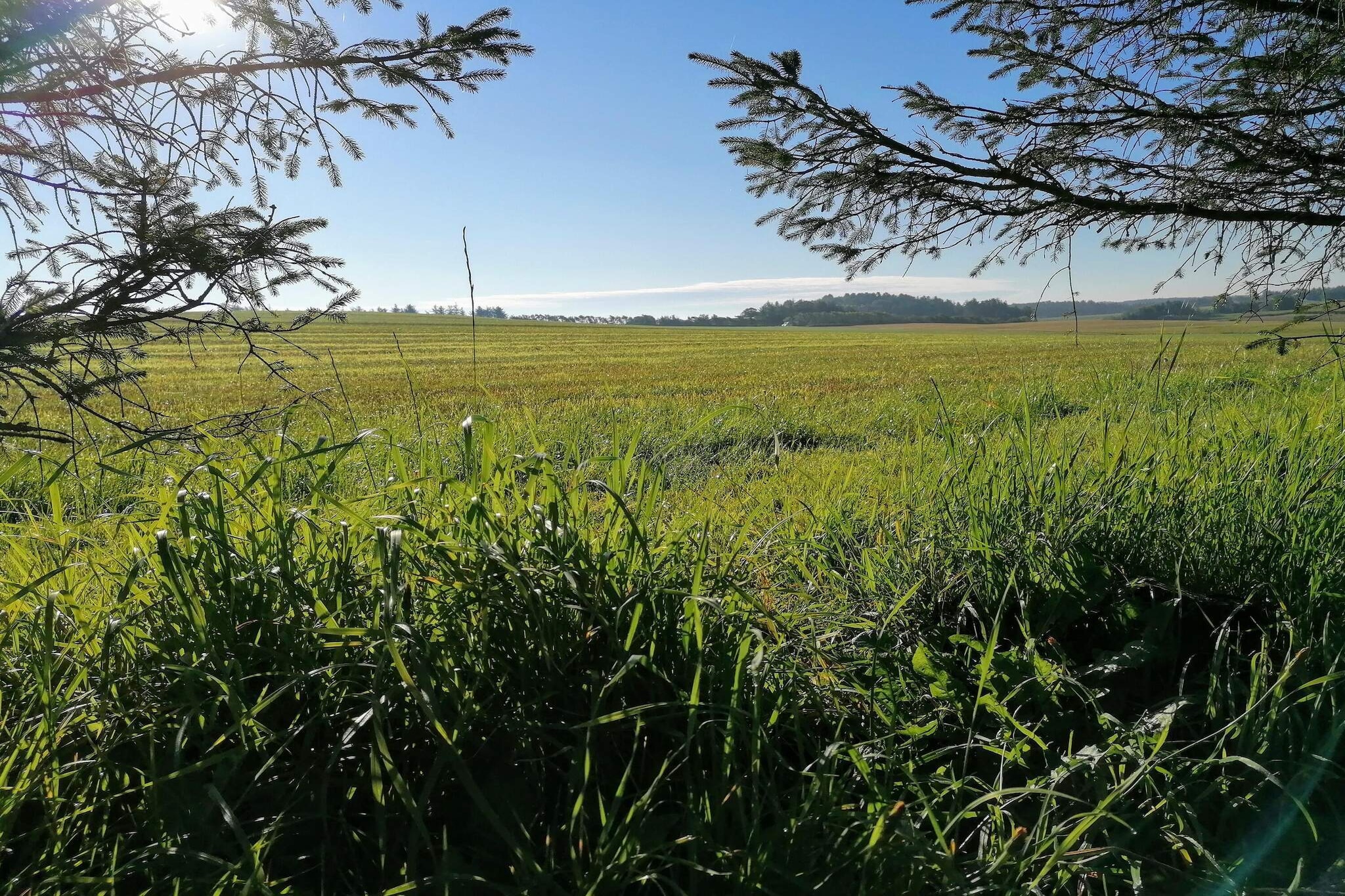 Luxury Retreat in Vejers - By Traum Ferienwohnungen-Untagged