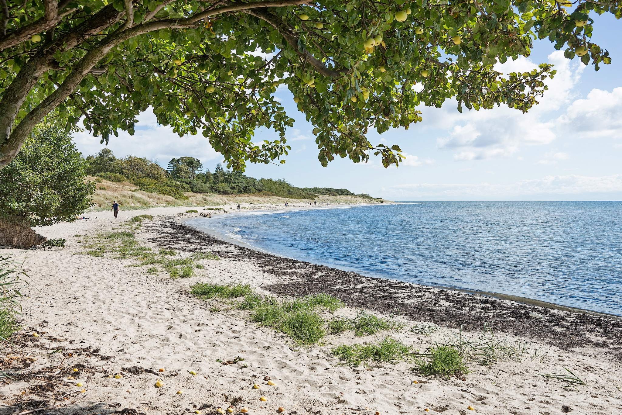 Ferienhaus mit Sauna am Strand - Nicht zugeordnet