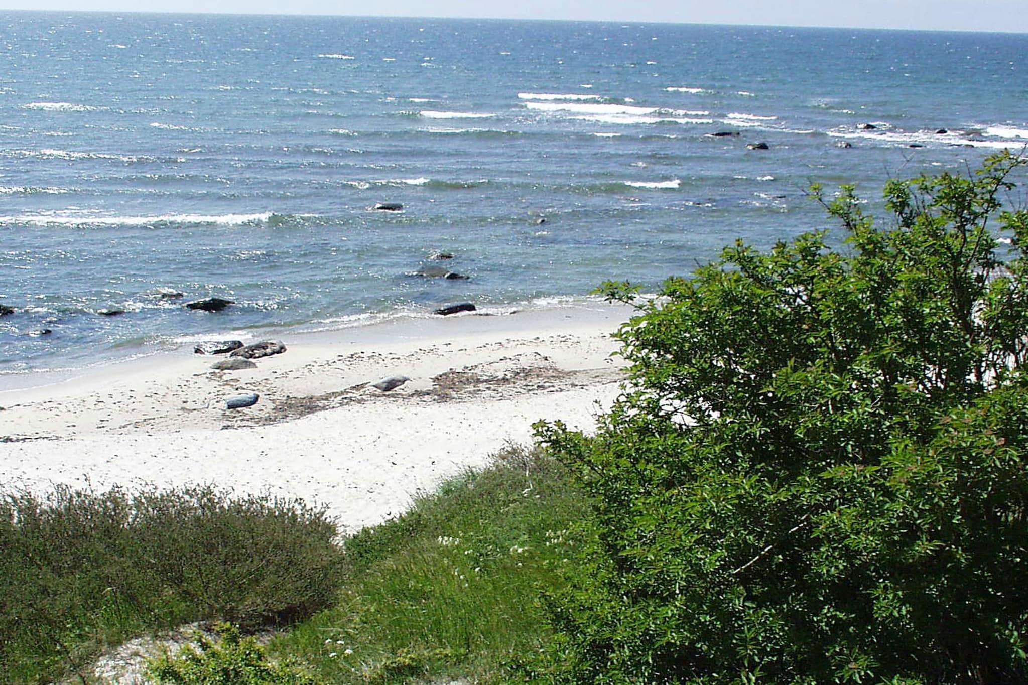 Ferienhaus mit Sauna am Strand - Aussicht