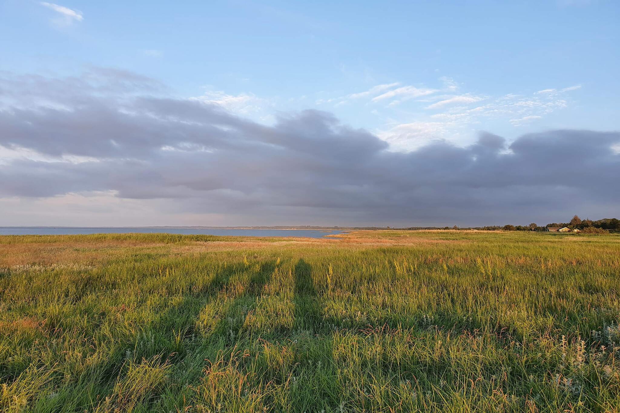 14 persoons vakantie huis in Ørsted-By Traum