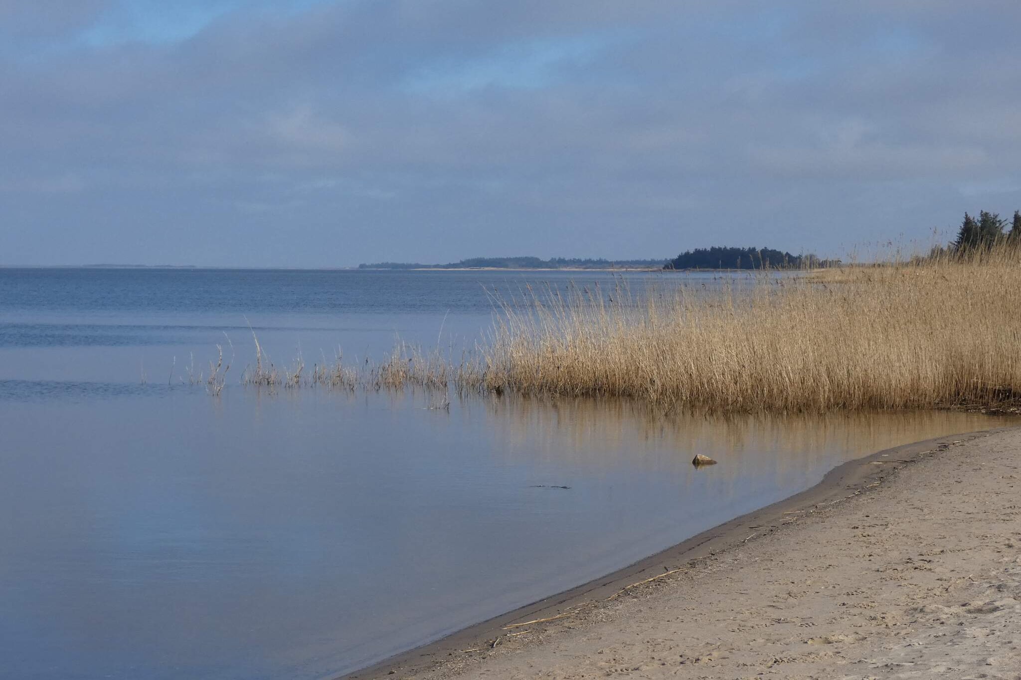 Seaside Charm in Bork Havn - Water view