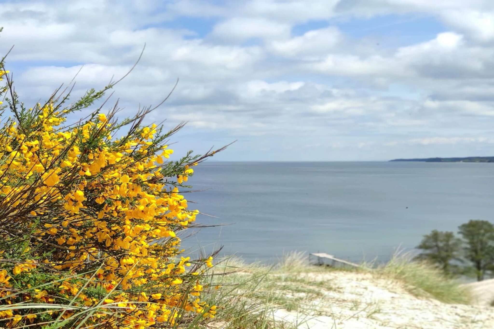 Havre de paix a Hvidbjerg -- By Traum Ferienwohnungen-Vue sur l'eau