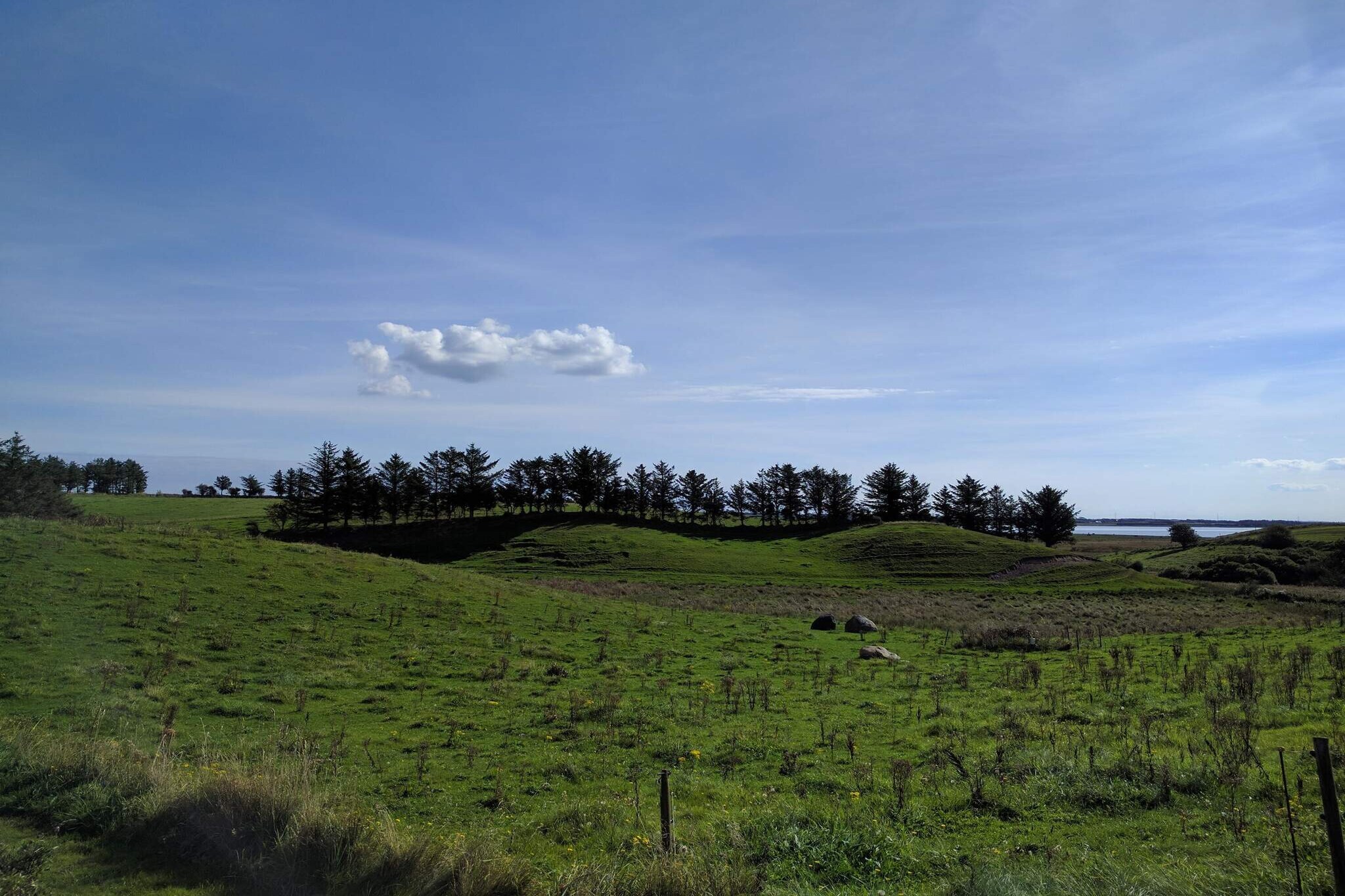 Internet Access DSL, open kitchen(cooker(electric), hood, microwave, dishwasher, fridge-freezer, washing machine), Living/bed room(TV(satellite, german television channels, danish TV channels (DR1 and TV2)), CD player, stereo unit), bedroom(double bed), bedroom(2x bunk bed), bedroom(2x bunk bed), bathroom(bathtub or shower, washbasin, toilet), heating(electric), terrace, garden furniture, BBQ, play equipment