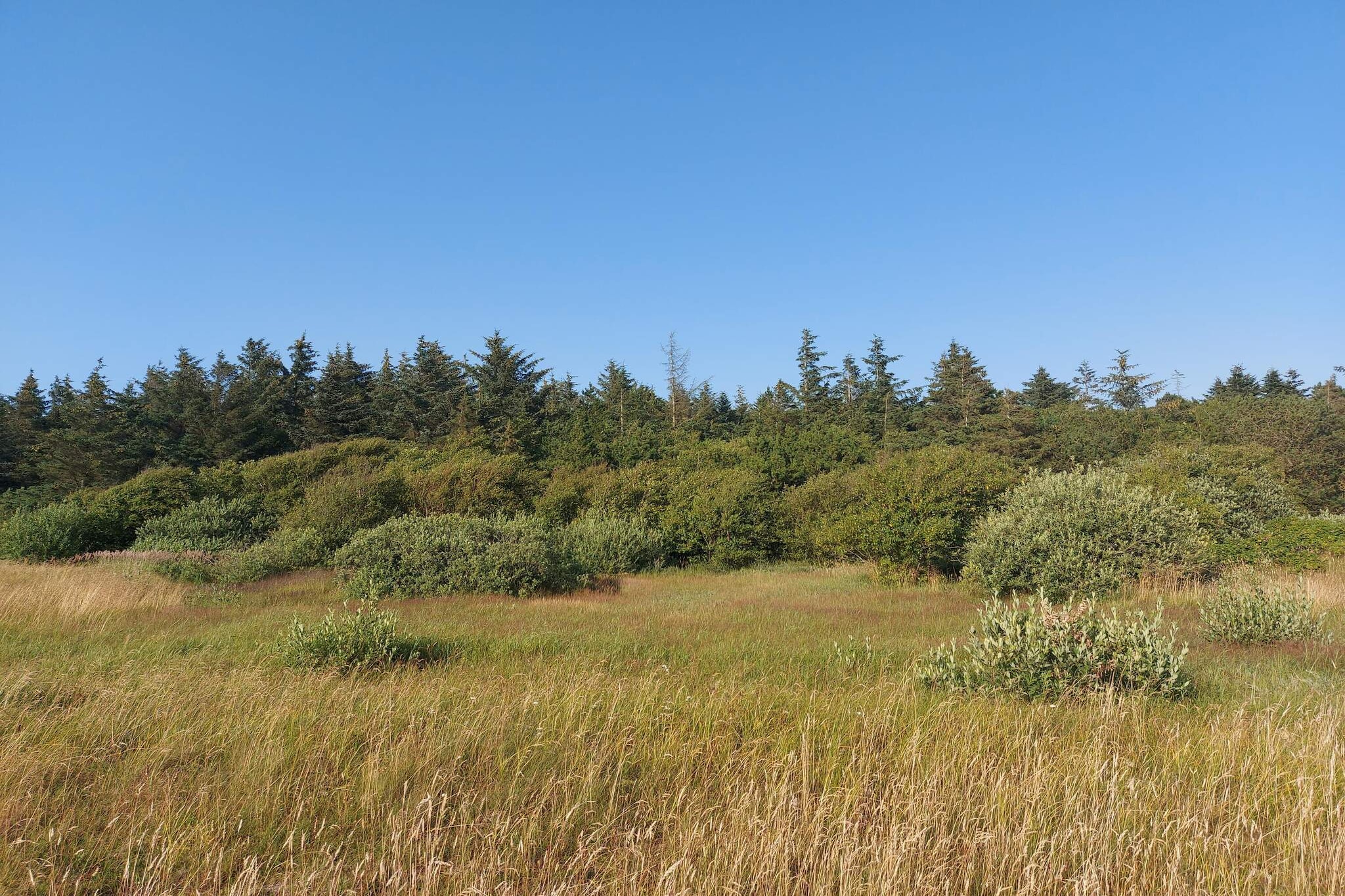 Seaside Escape in Mors - By Traum Ferienwohnungen