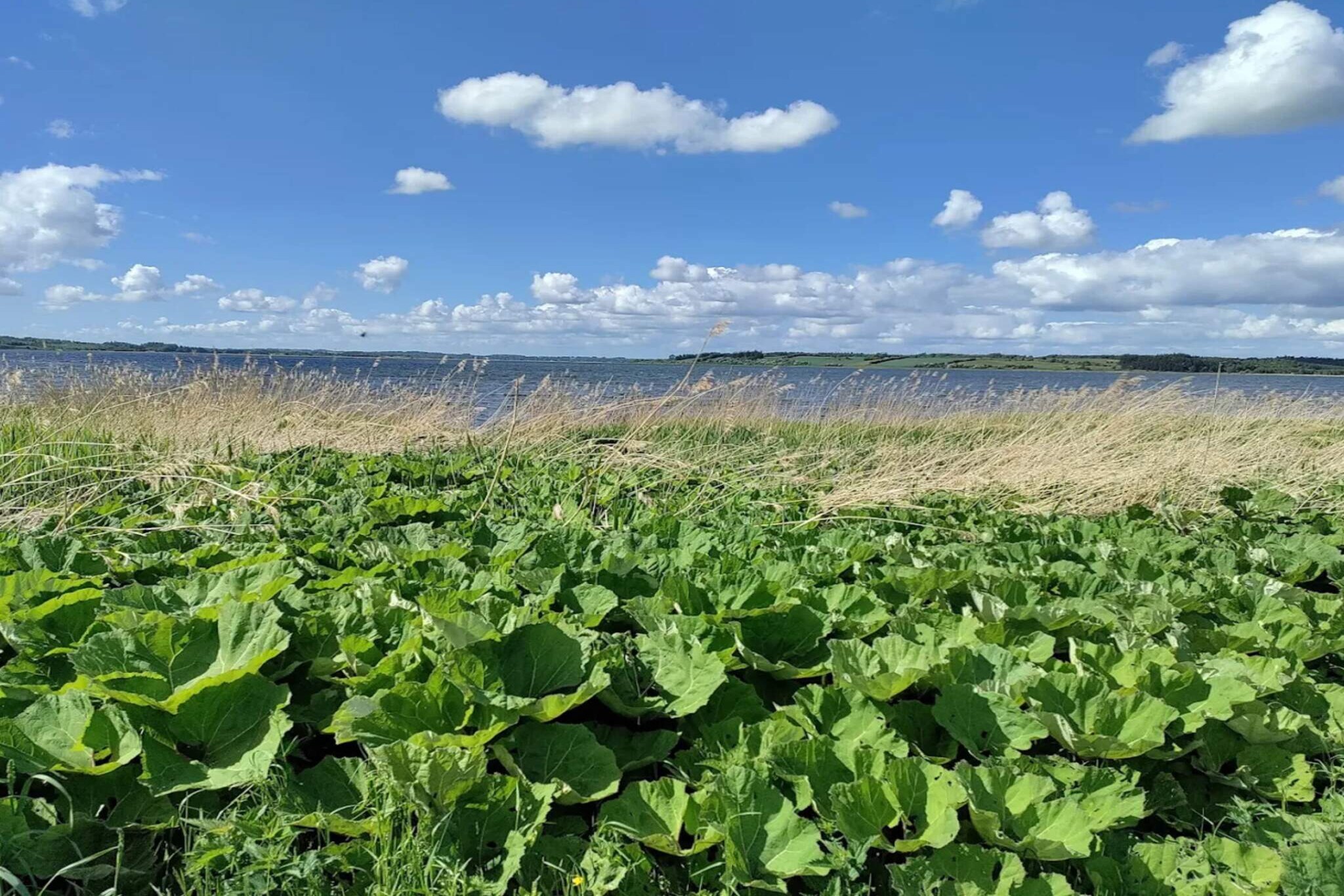 8 person holiday home in Løgstrup-By Traum