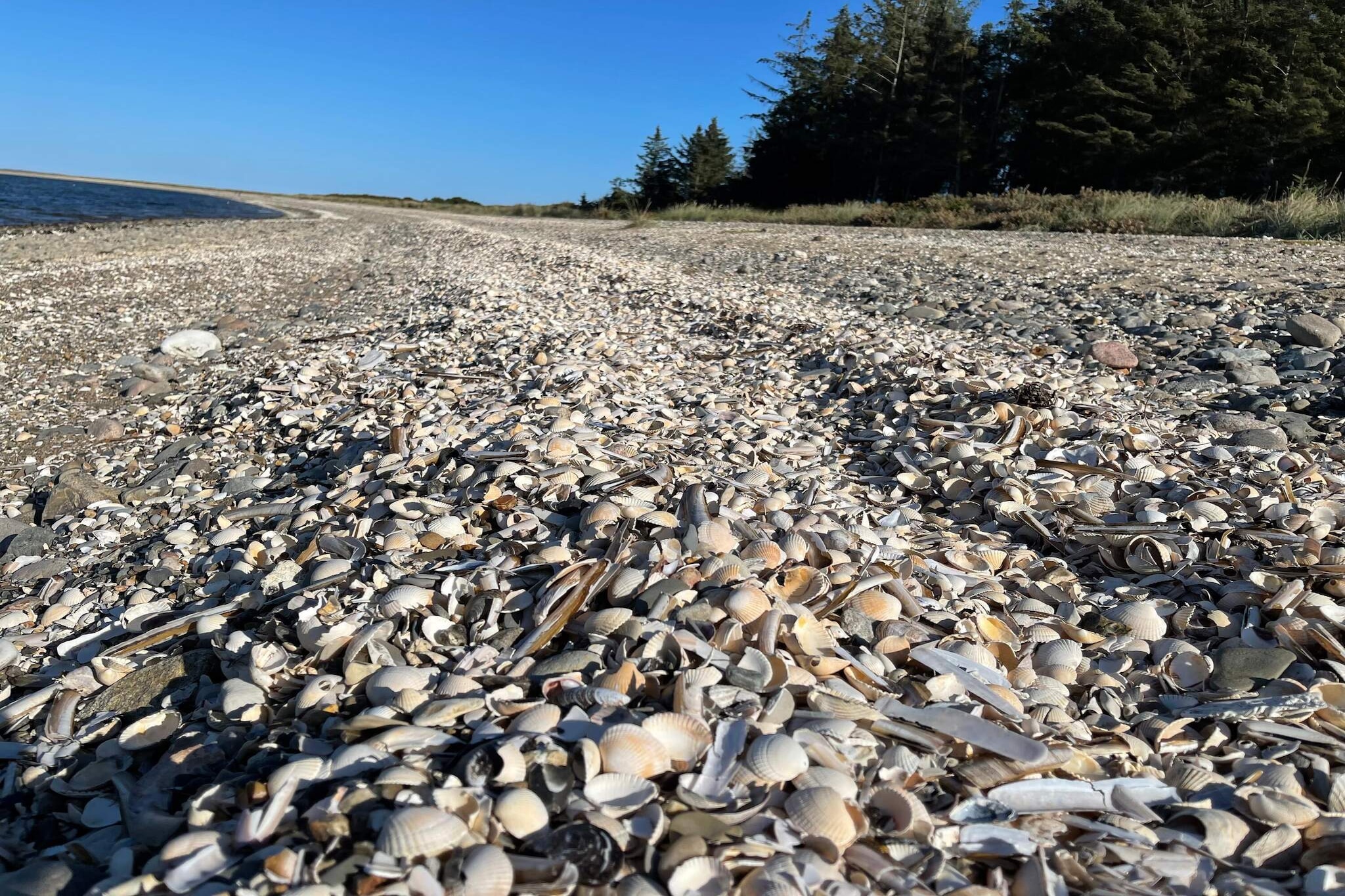 Afgelegen oase op Fur -- By Traum Ferienwohnungen