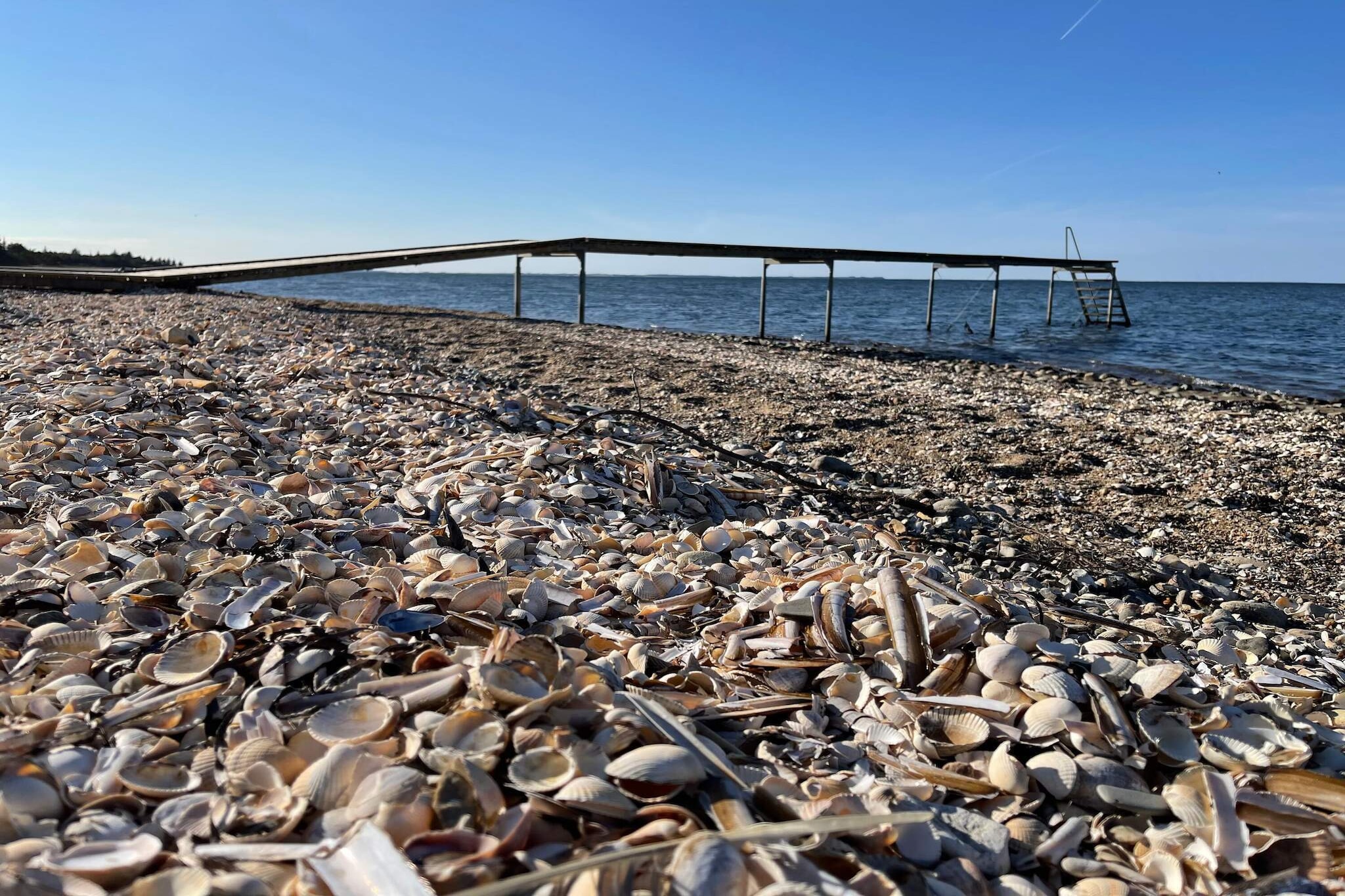Abgeschiedenes Paradies auf Fur -- By Traum Ferienwohnungen - Wasserblick