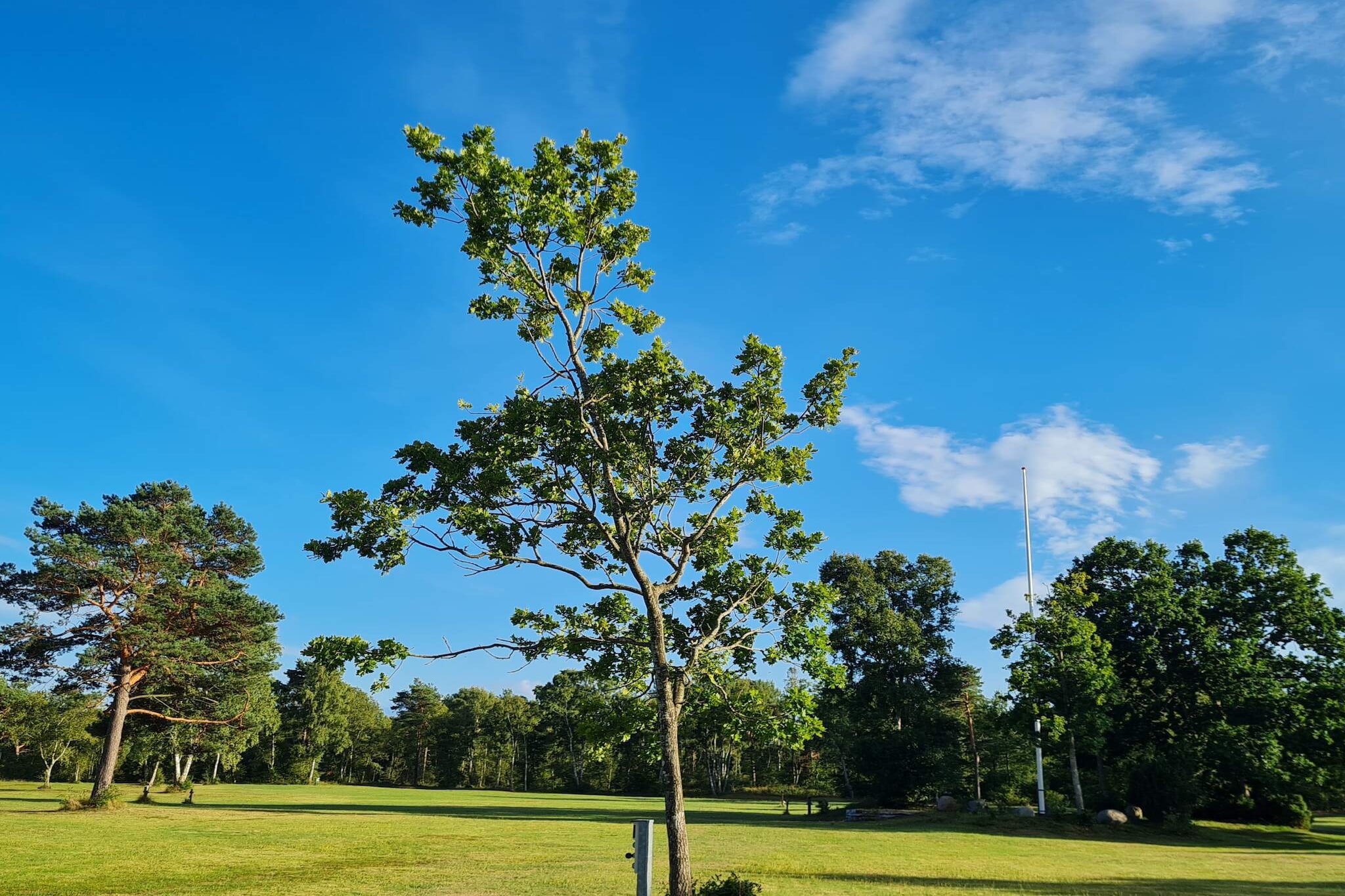 Maison de vacances pour 6 a Hadsund-By Traum-Non tagué