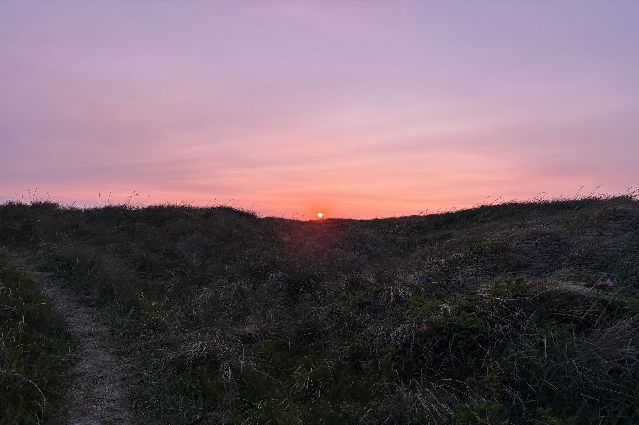 8 Personen Ferienhaus in Løkken-By Traum-Nicht zugeordnet