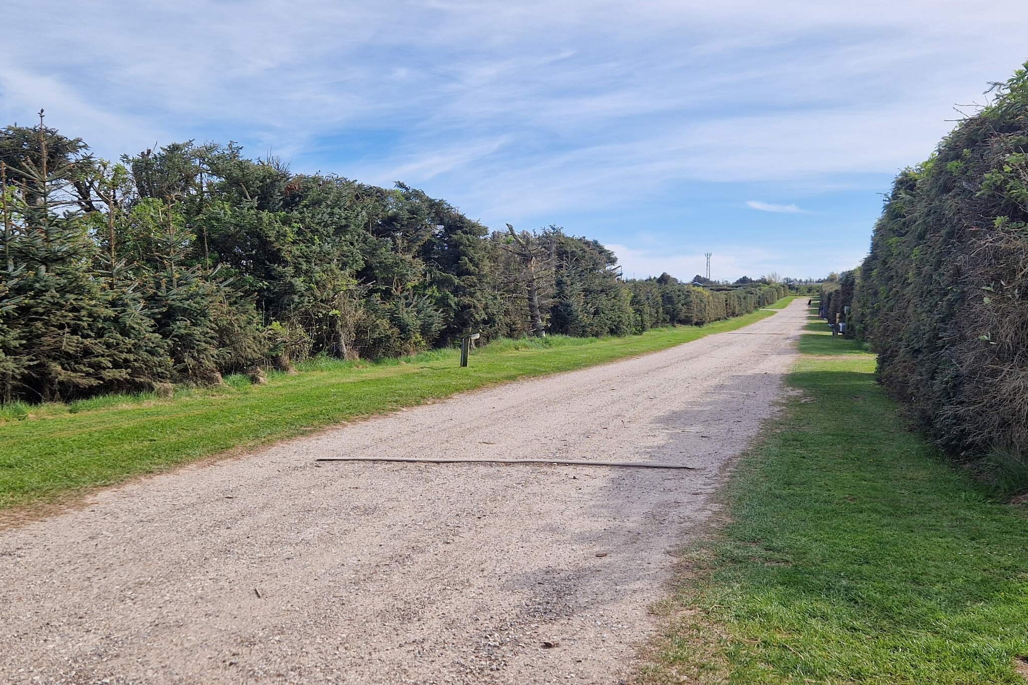 8 person holiday home in Løkken-By Traum
