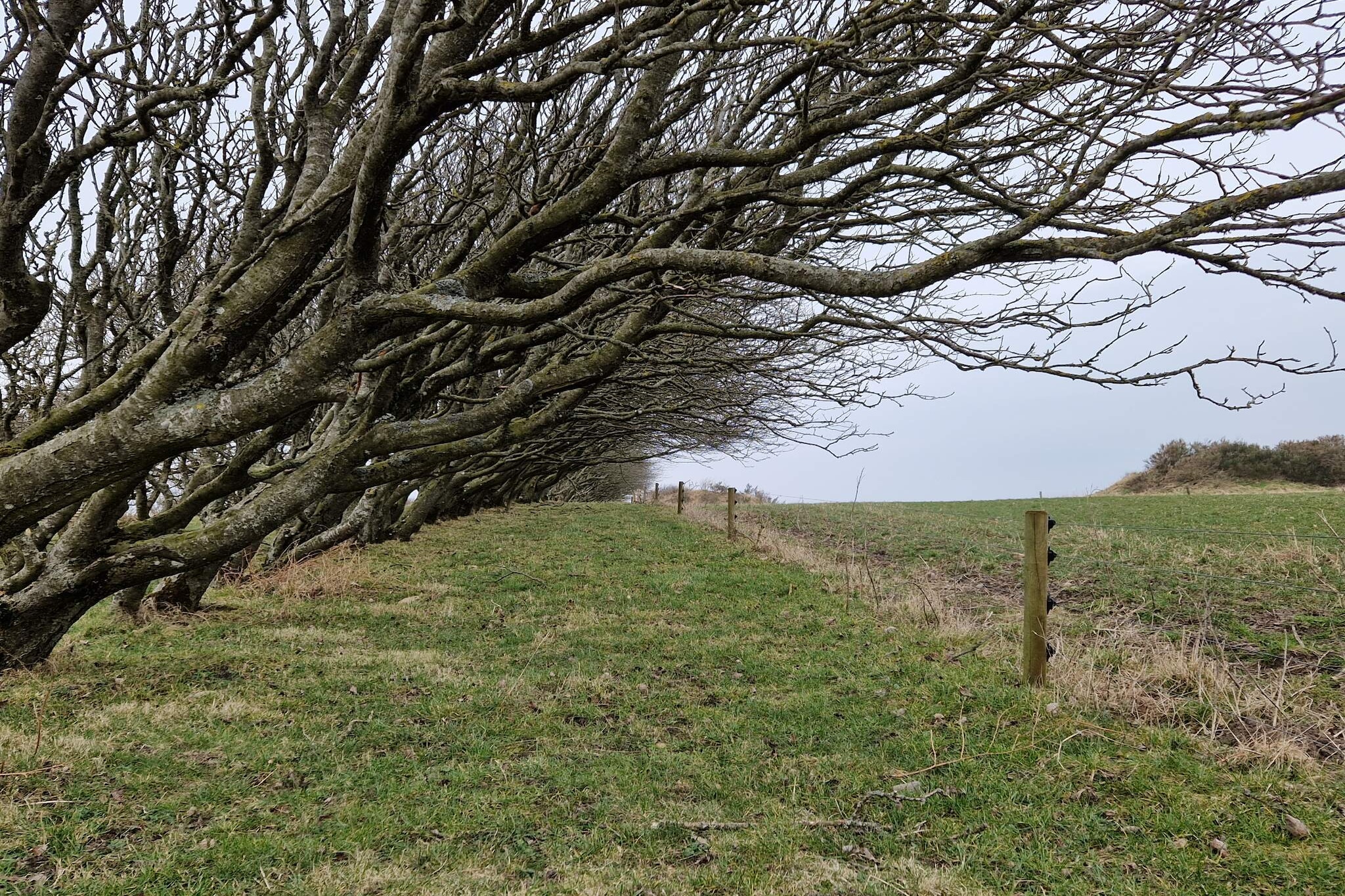 6 persoons vakantie huis in Spøttrup-By Traum-Niet-getagd