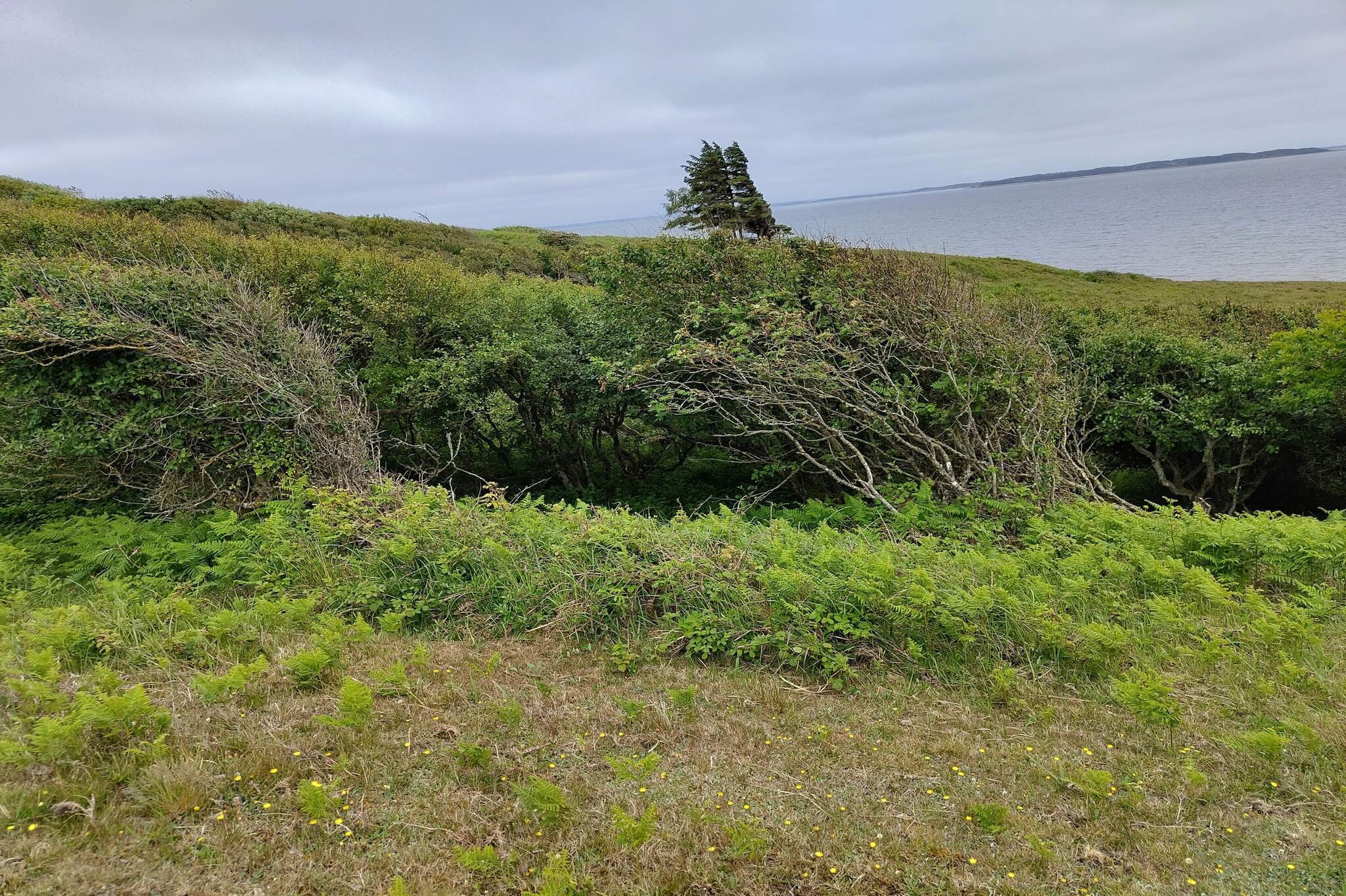 6 persoons vakantie huis in Spøttrup-By Traum-Niet-getagd