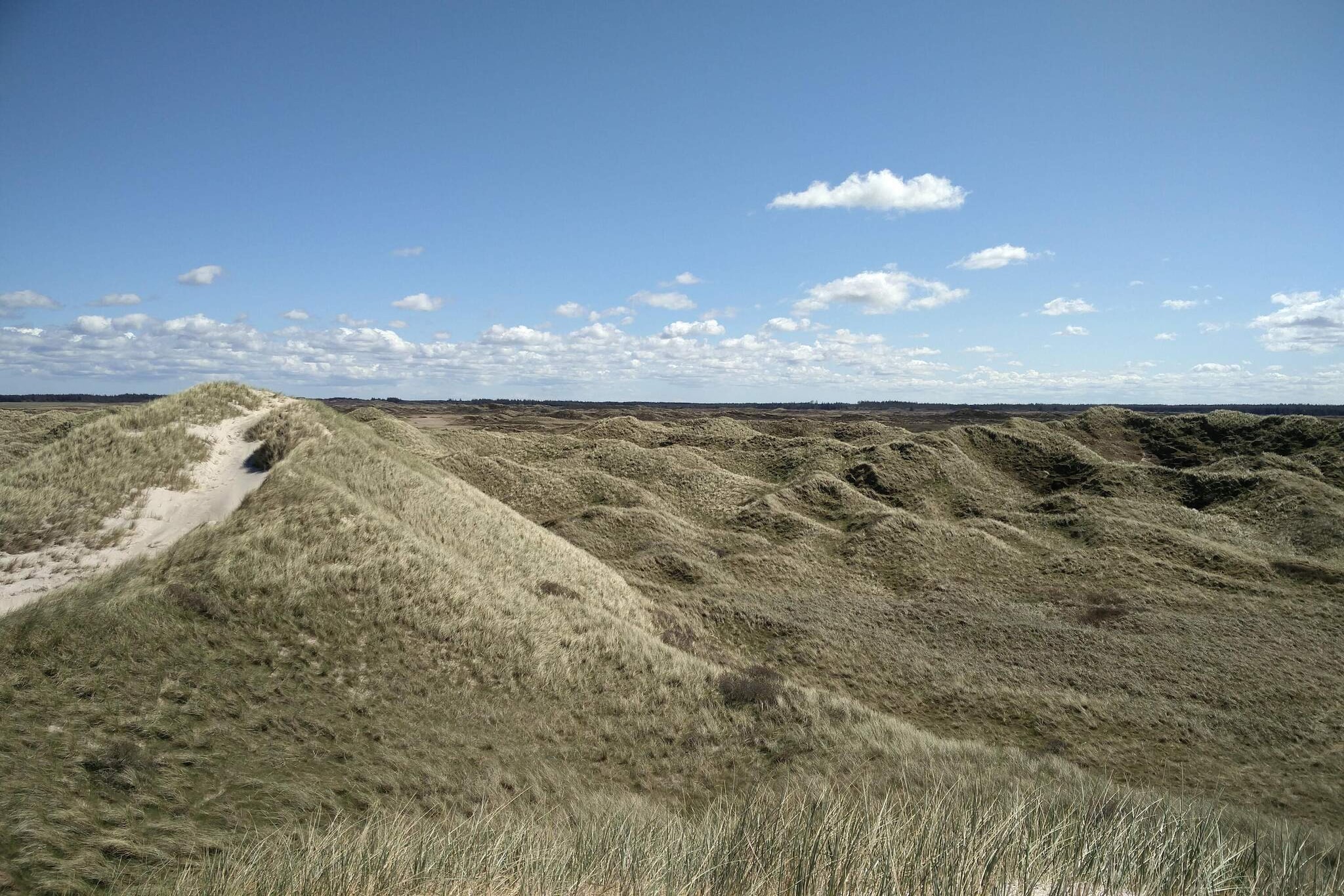 12 Personen Ferienhaus in Pandrup-By Traum