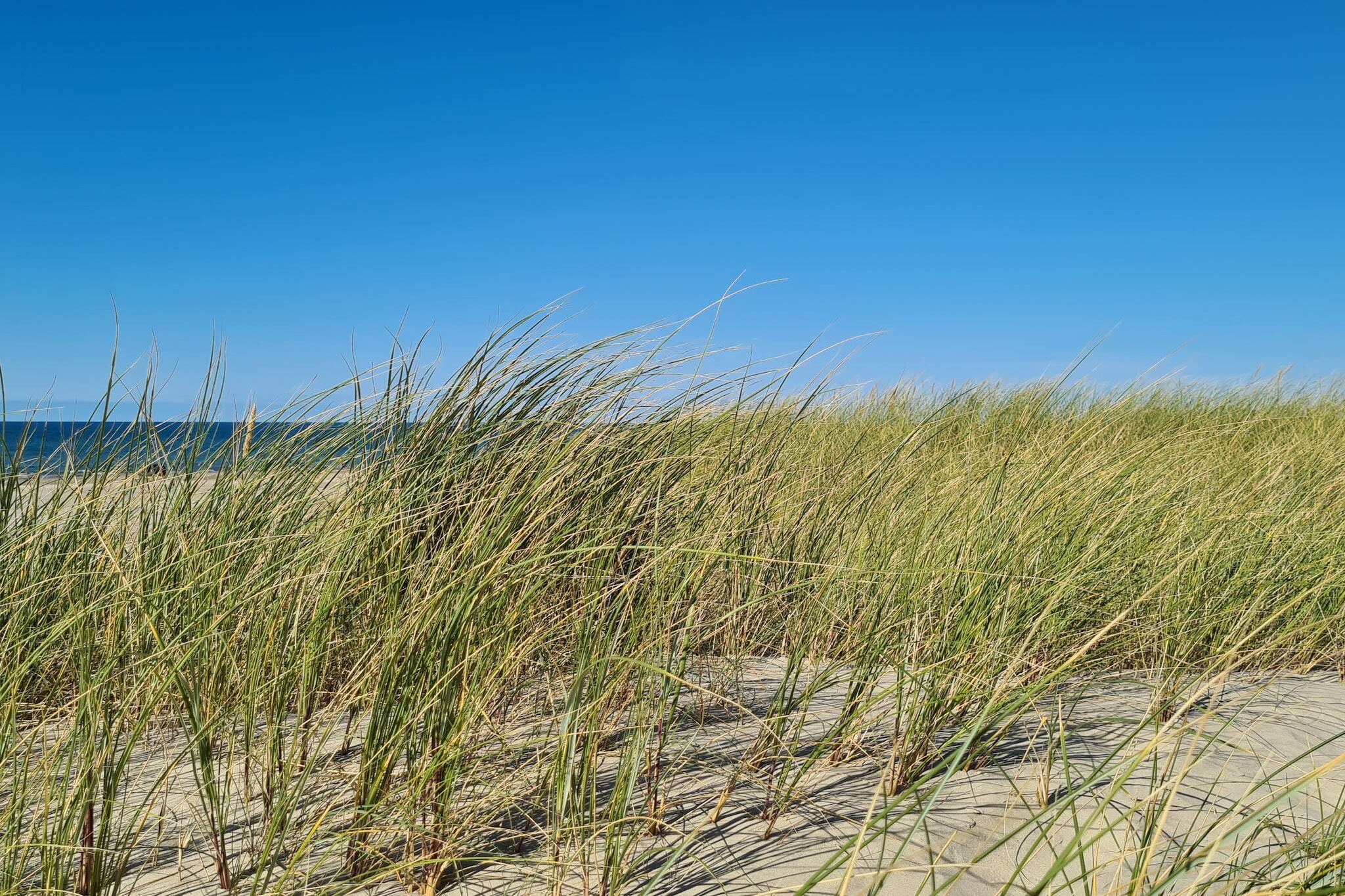 12 Personen Ferienhaus in Pandrup-By Traum-Nicht zugeordnet