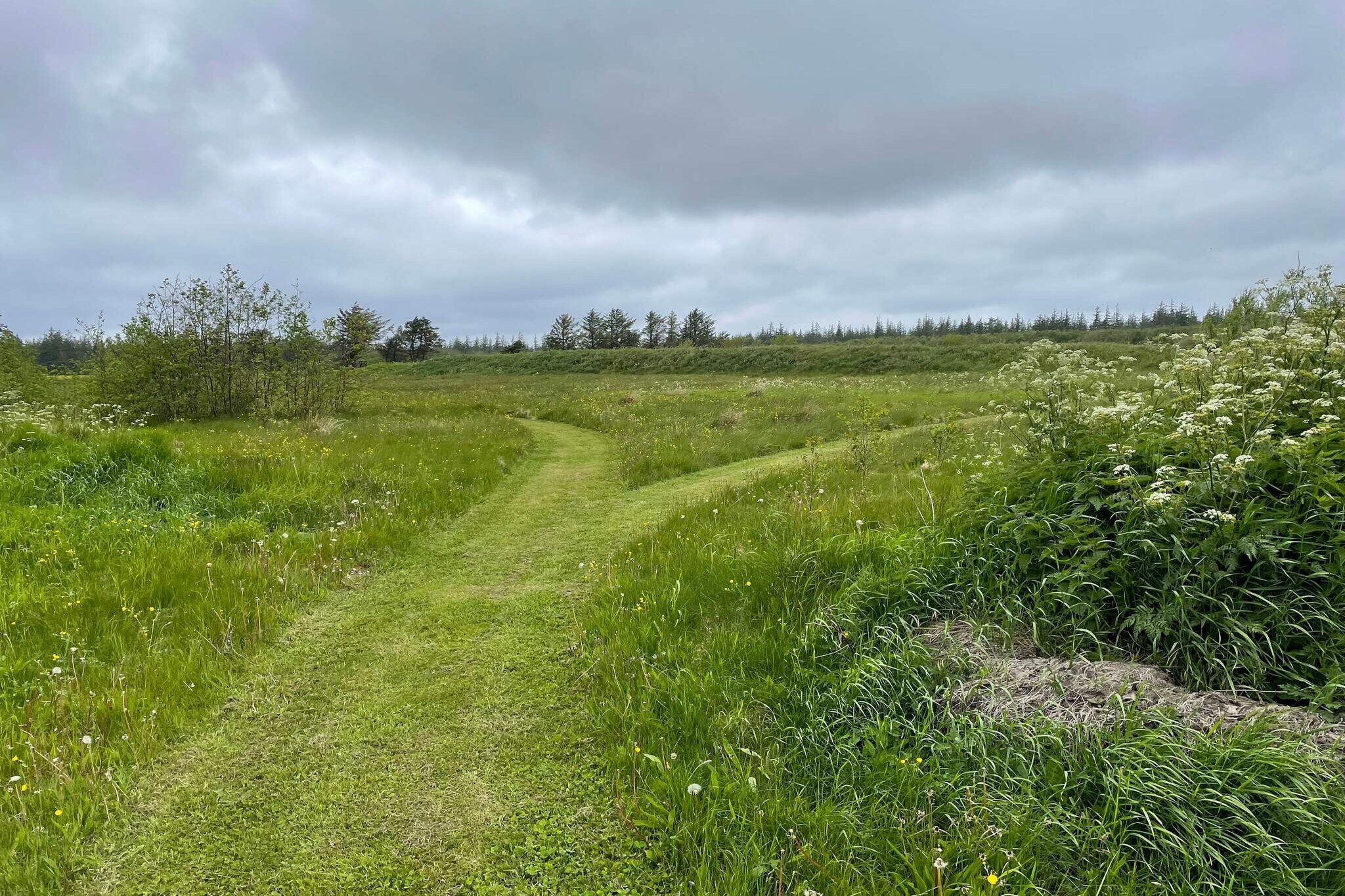6 persoons vakantie huis in Pandrup-By Traum - Niet-getagd