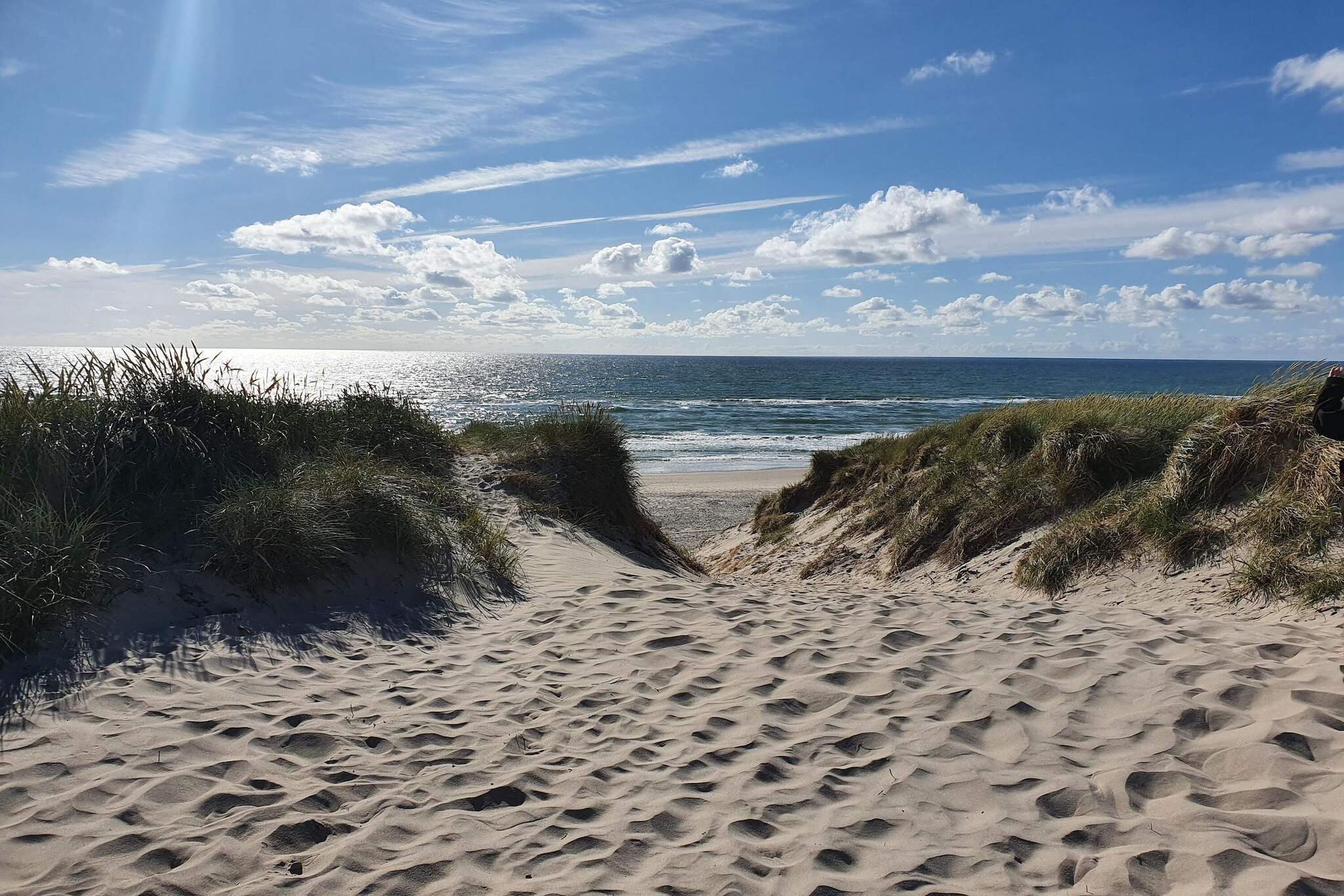 8 persoons vakantie huis in Ringkøbing-By Traum - Niet-getagd